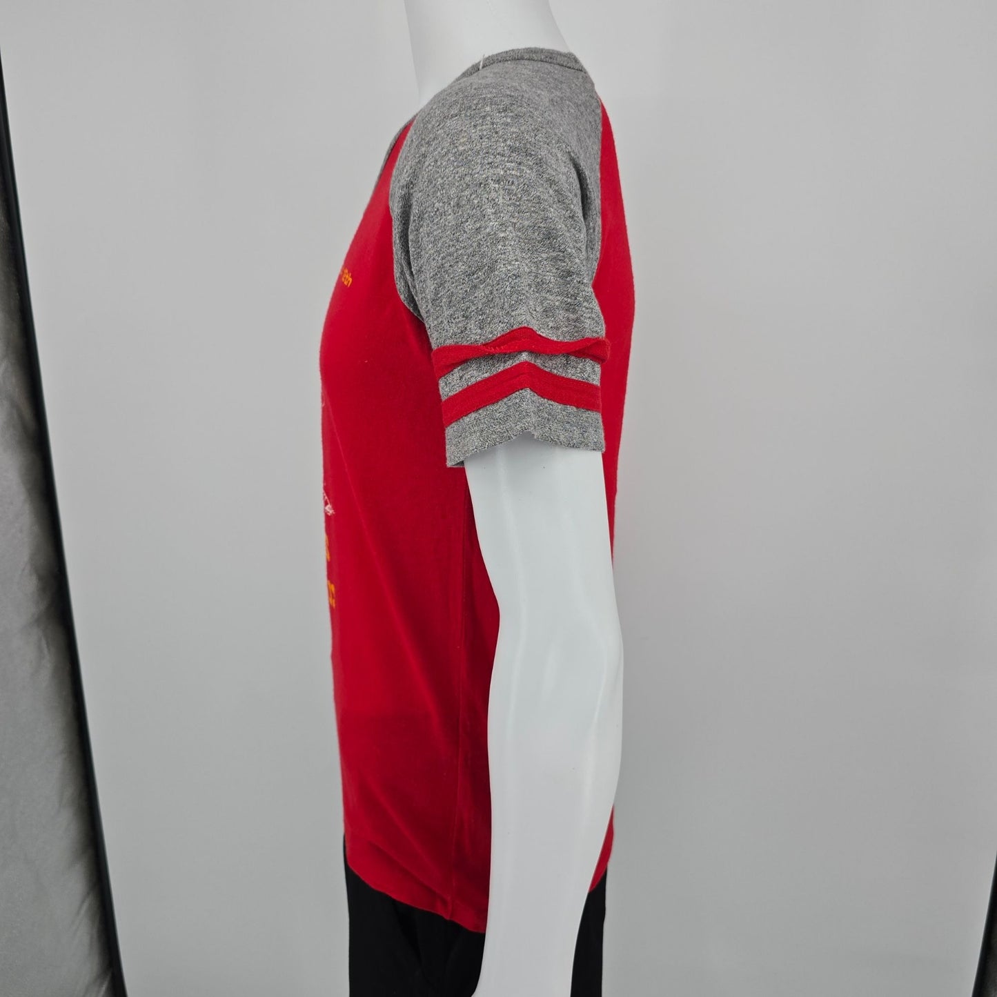Vintage 1980s Mesa 18th "The Mamas and The Pompous" Raglan Jersey T-Shirt (M)
