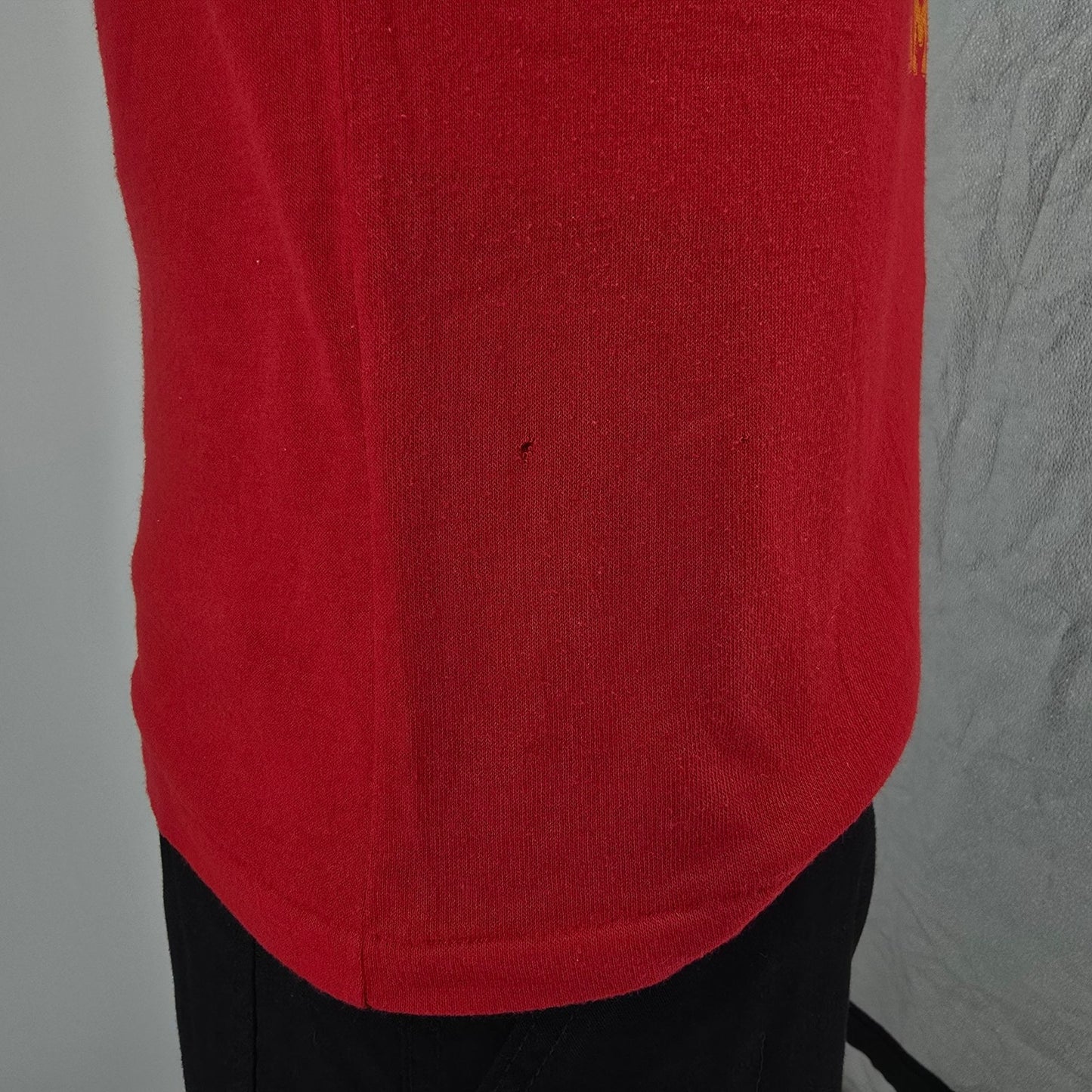 Vintage 1980s Mesa 18th "The Mamas and The Pompous" Raglan Jersey T-Shirt (M)