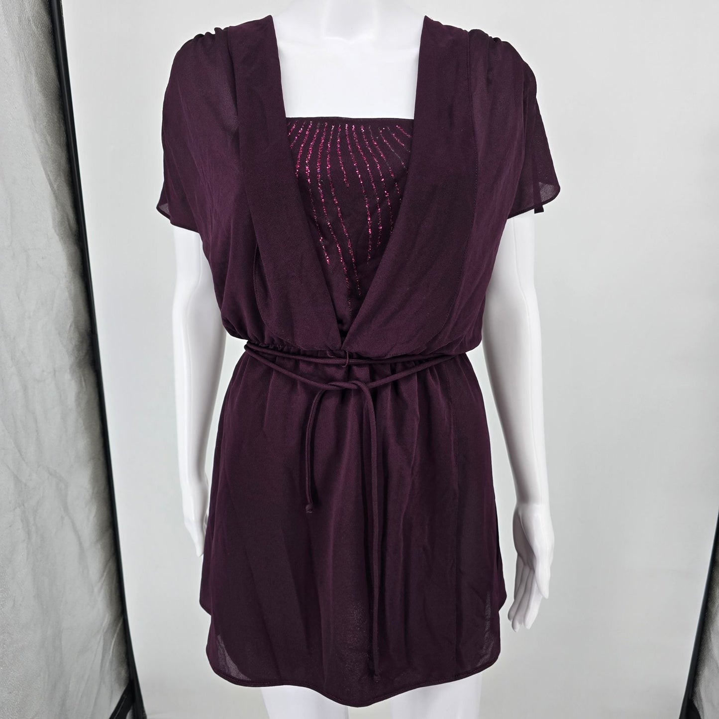 Vintage 1970s Darcy Dress Purple Plum Sheer Overlay Sequined Mini Dress (Small)