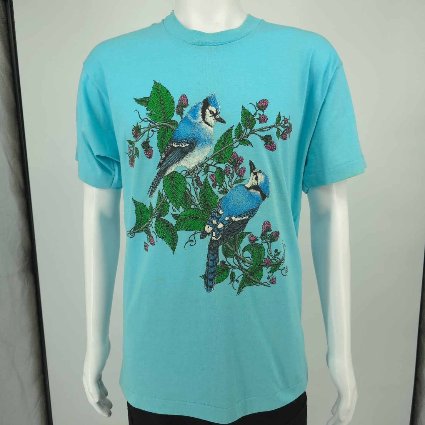 Vintage 1990s Screen Stars Best/LSJ Sportswear Blue Jays Nature Art T-Shirt (L)