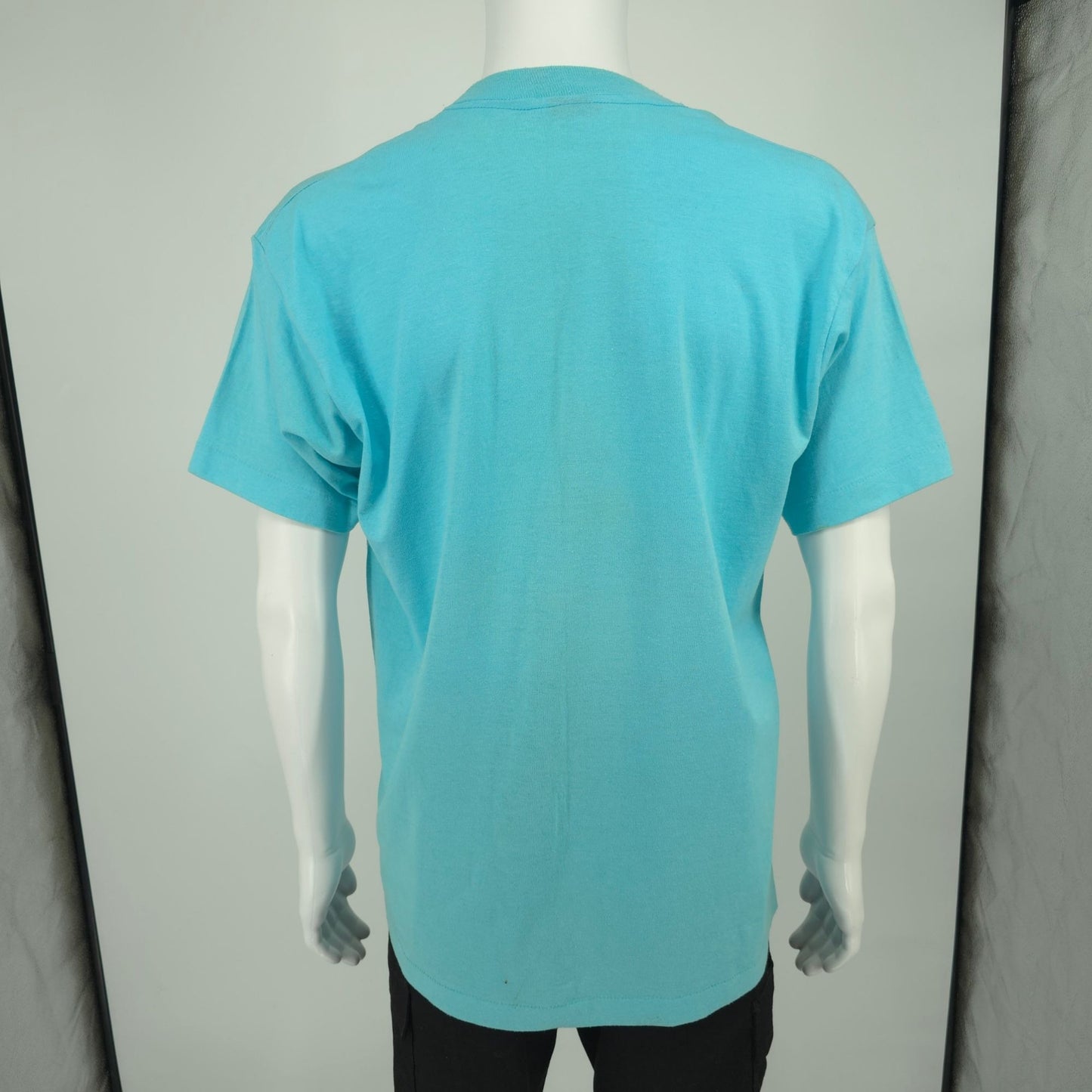 Vintage 1990s Screen Stars Best/LSJ Sportswear Blue Jays Nature Art T-Shirt (L)