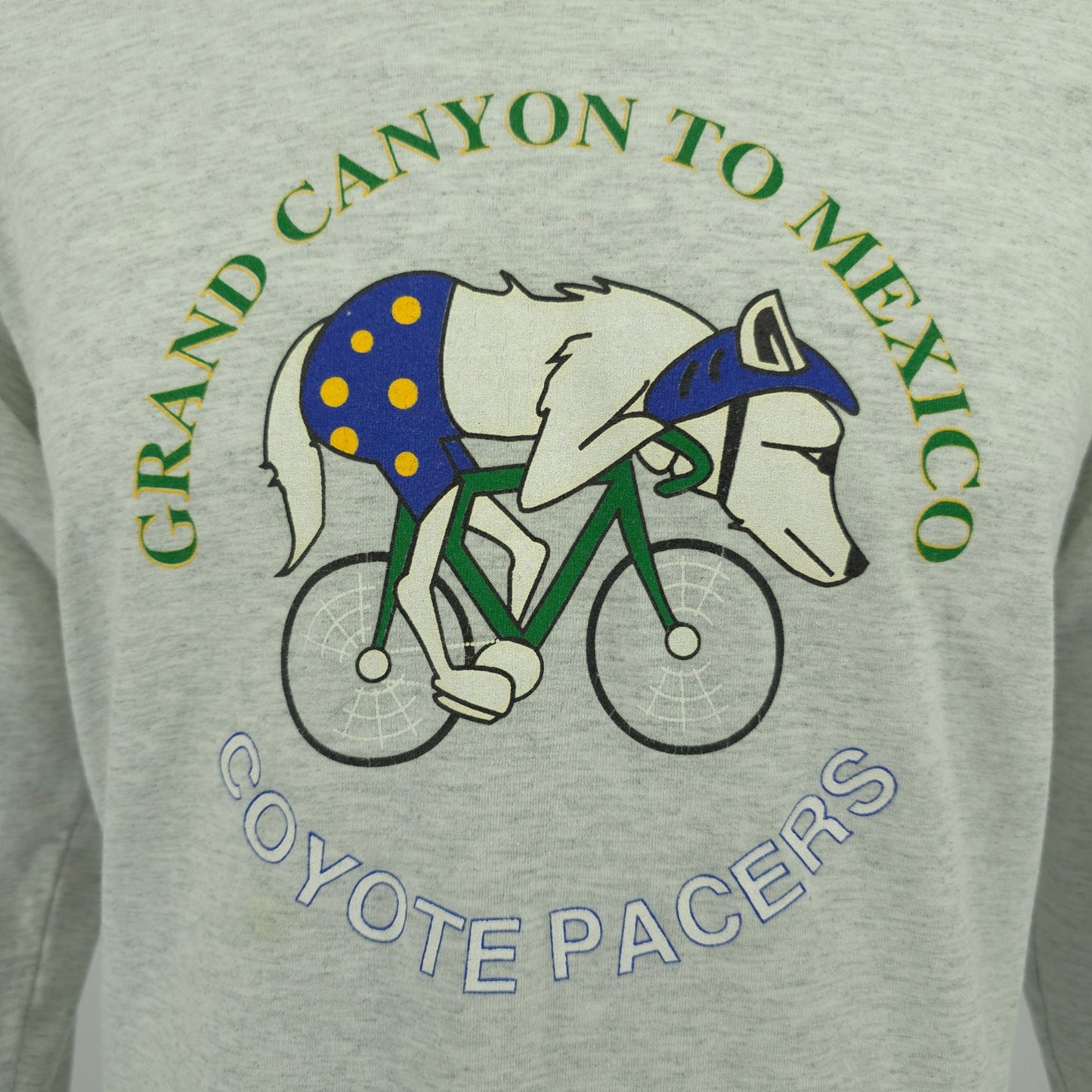 Vintage 1990s Grand Canyon to Mexico Coyote Racers GABA Tucson T-Shirt (M)