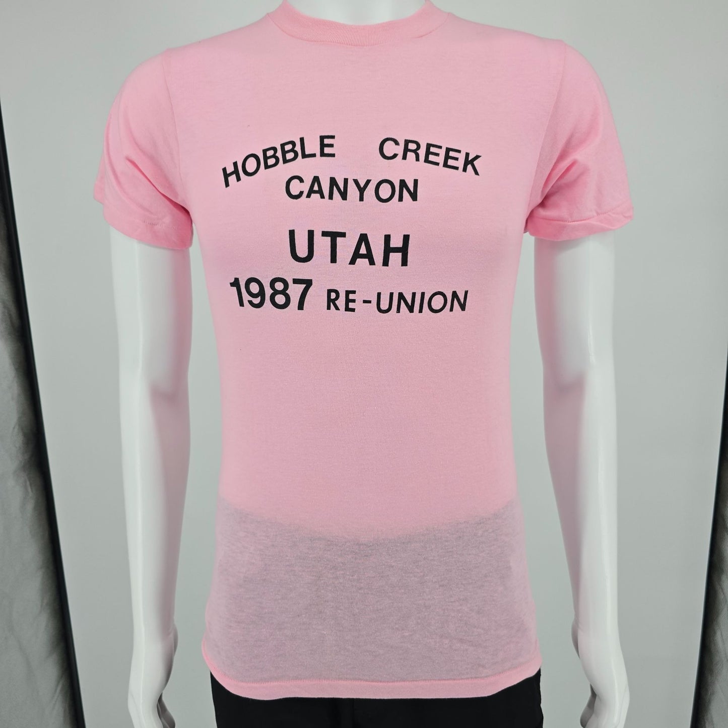 Vintage 1987 Hobble Creek Canyon Utah Roybals Family Reunion T-Shirt (XS/S)