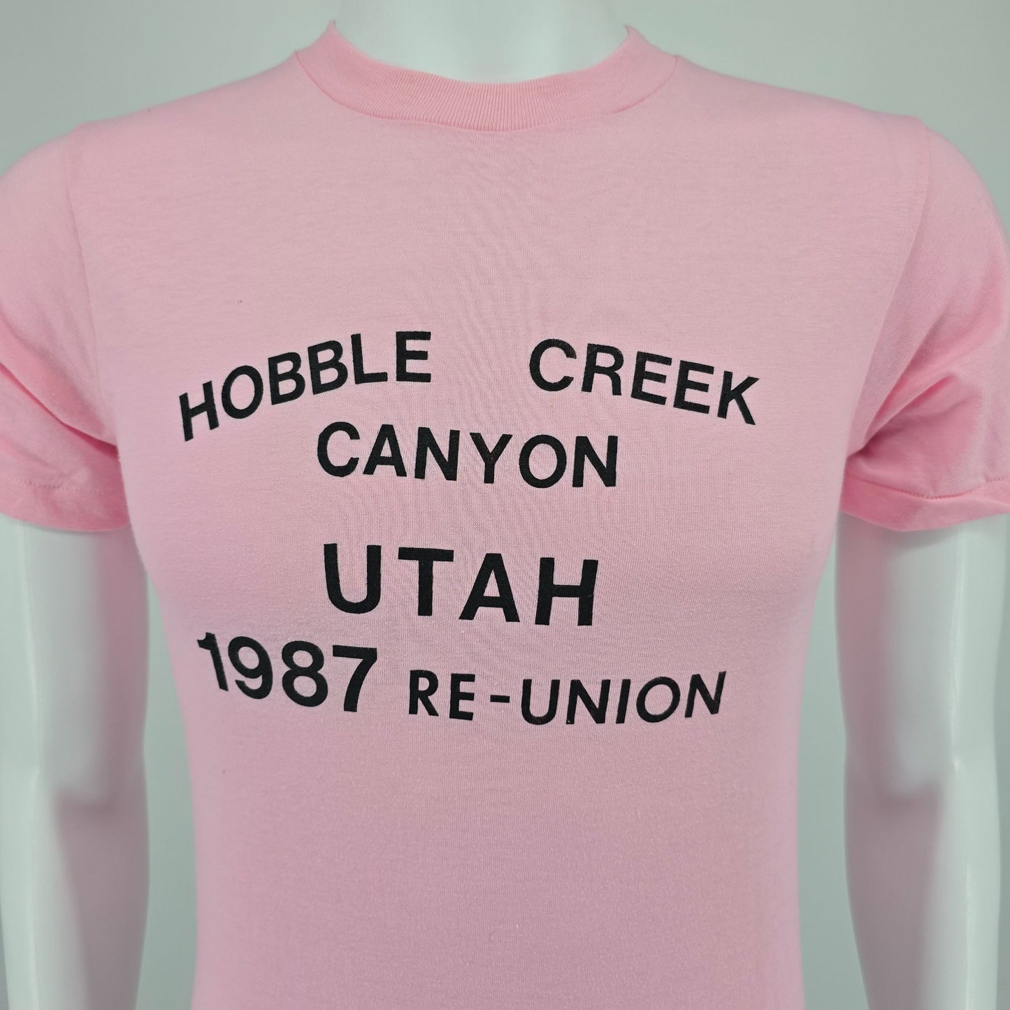 Vintage 1987 Hobble Creek Canyon Utah Roybals Family Reunion T-Shirt (XS/S)