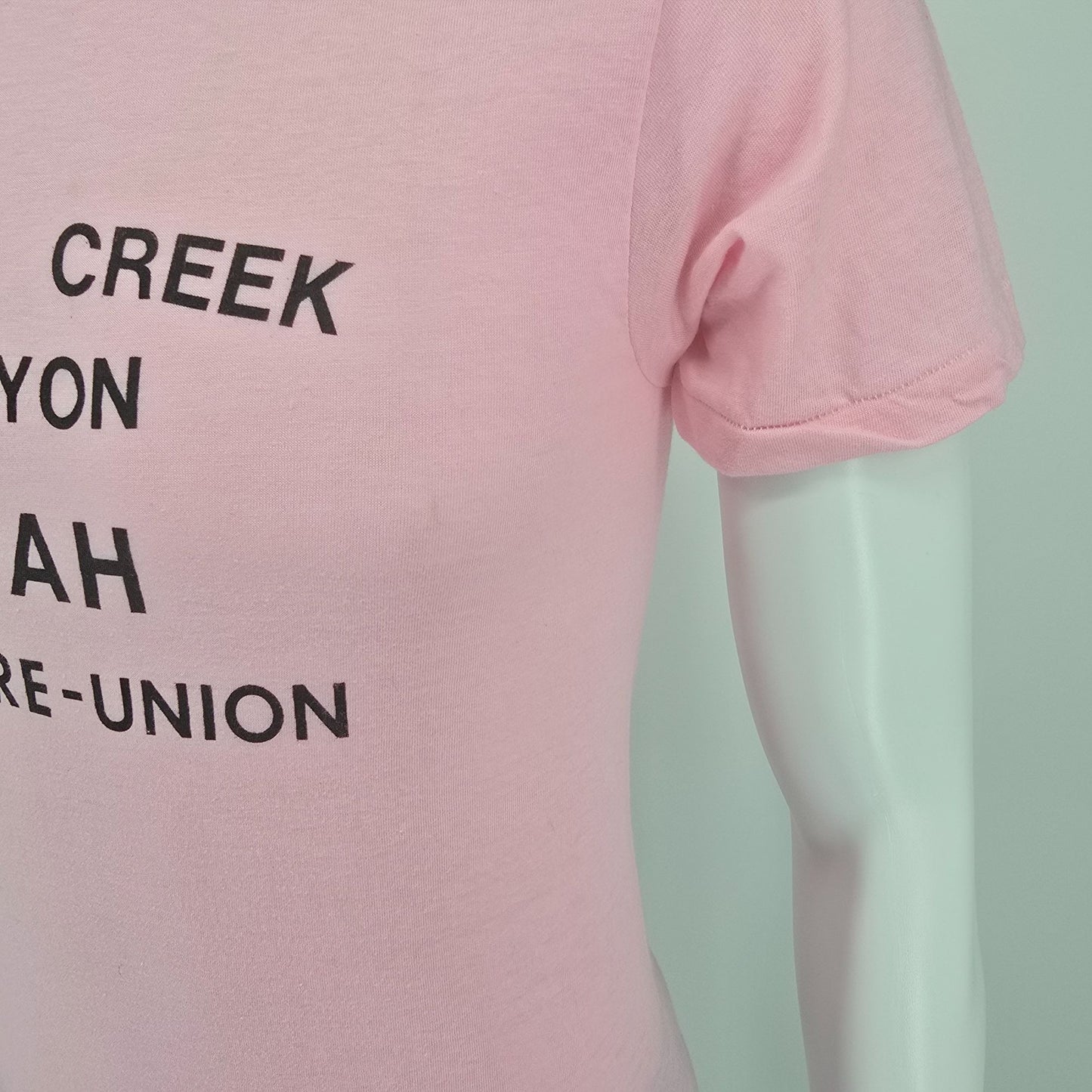 Vintage 1987 Hobble Creek Canyon Utah Roybals Family Reunion T-Shirt (XS/S)