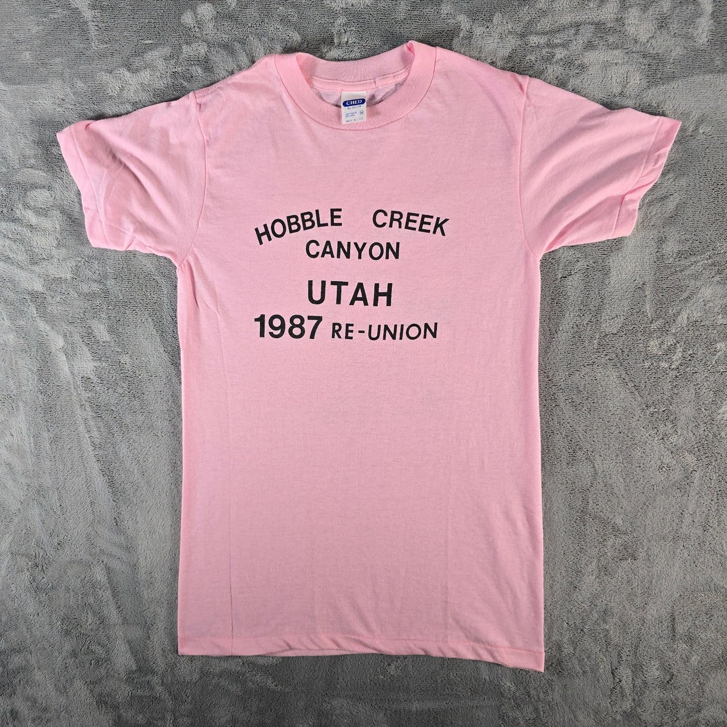 Vintage 1987 Hobble Creek Canyon Utah Roybals Family Reunion T-Shirt (XS/S)