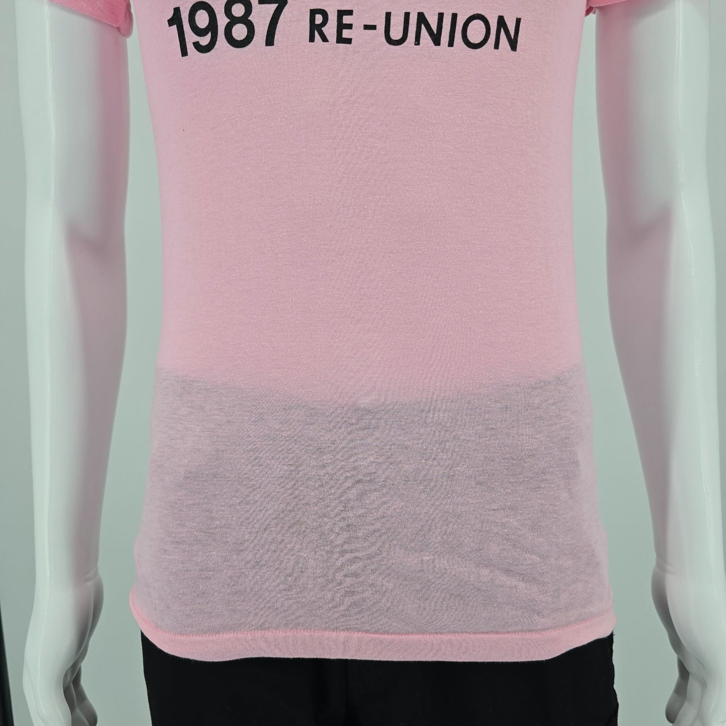 Vintage 1987 Hobble Creek Canyon Utah Roybals Family Reunion T-Shirt (XS/S)