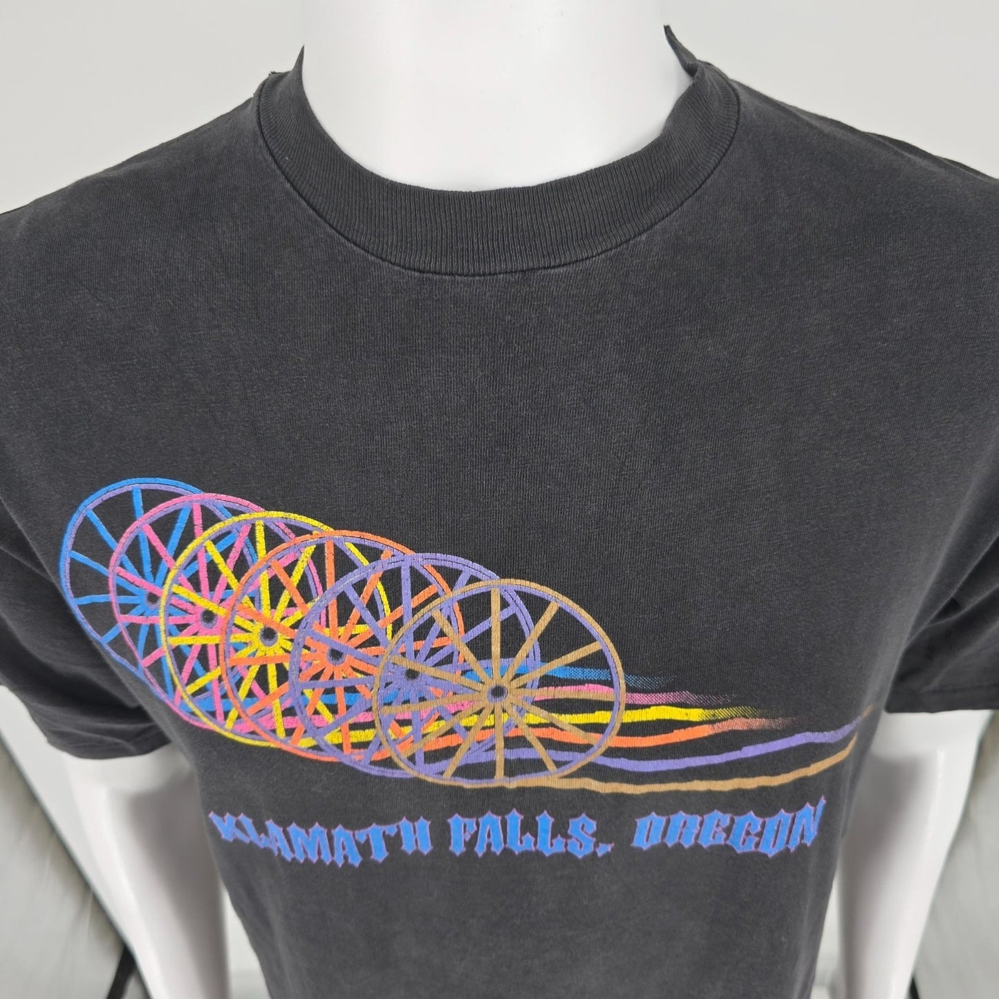 Vintage 1990s Hanes Beefy-T Klamath Falls Oregon Wagon Wheel Graphic T-Shirt (L)