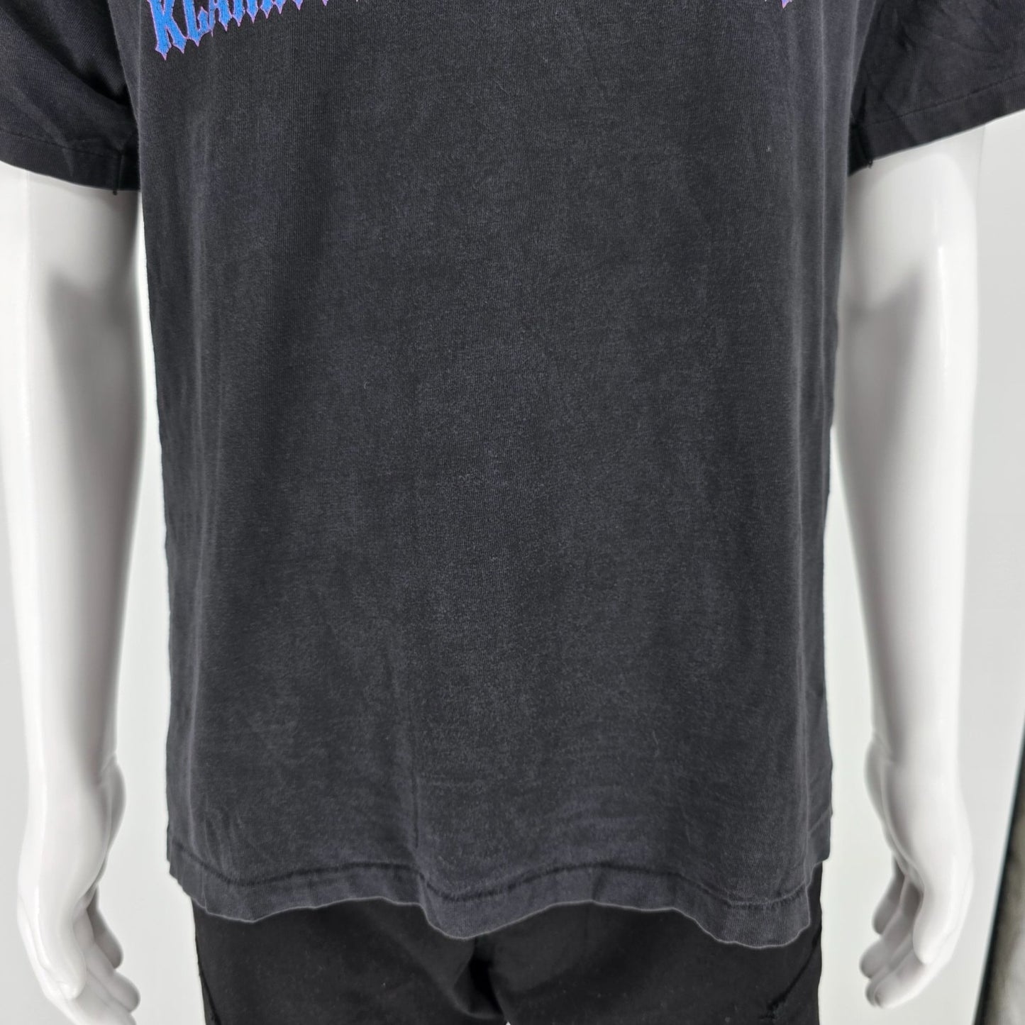 Vintage 1990s Hanes Beefy-T Klamath Falls Oregon Wagon Wheel Graphic T-Shirt (L)