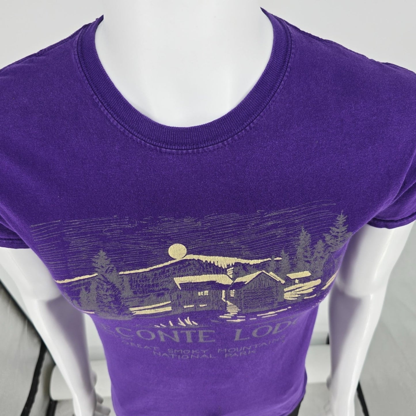 2019 Great Smoky Mountains National Park LeConte Lodge Purple T-Shirt (S) *Fair