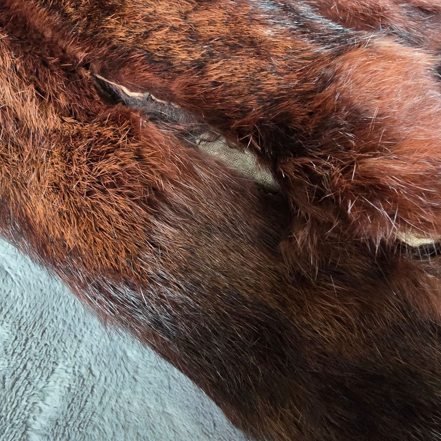Damaged Vintage 1950s Mahogany Brown Mink? Fur Coat for Upcycling/Projects (XS)