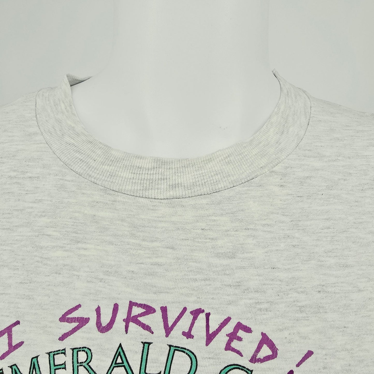 Vintage 1990s I Survived Emerald Canyon Golf Course Parker Arizona T-Shirt (XL)