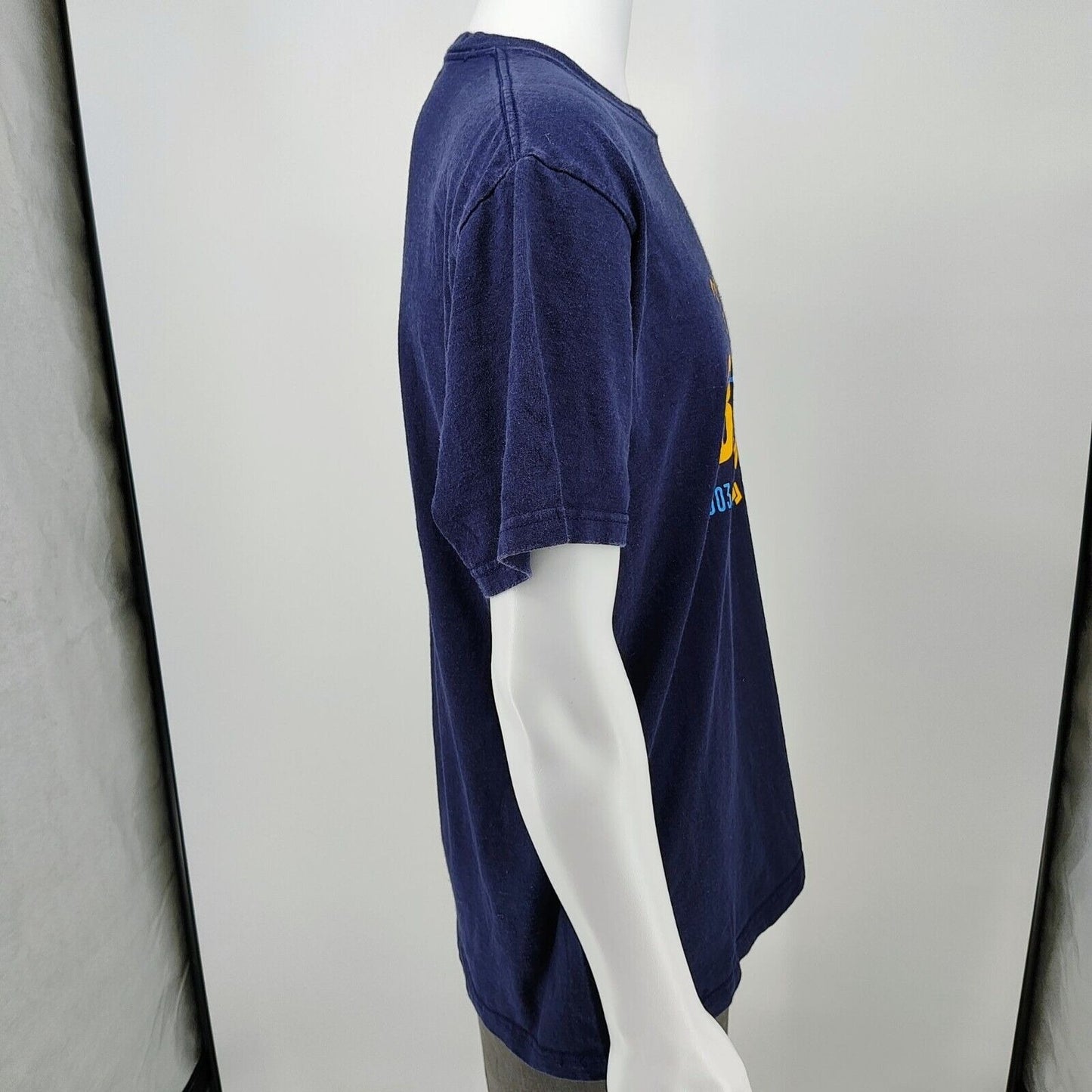 Vintage St. Louis Blues Hockey Bleed Blue 2003-2004 Training Camp T-Shirt (L)