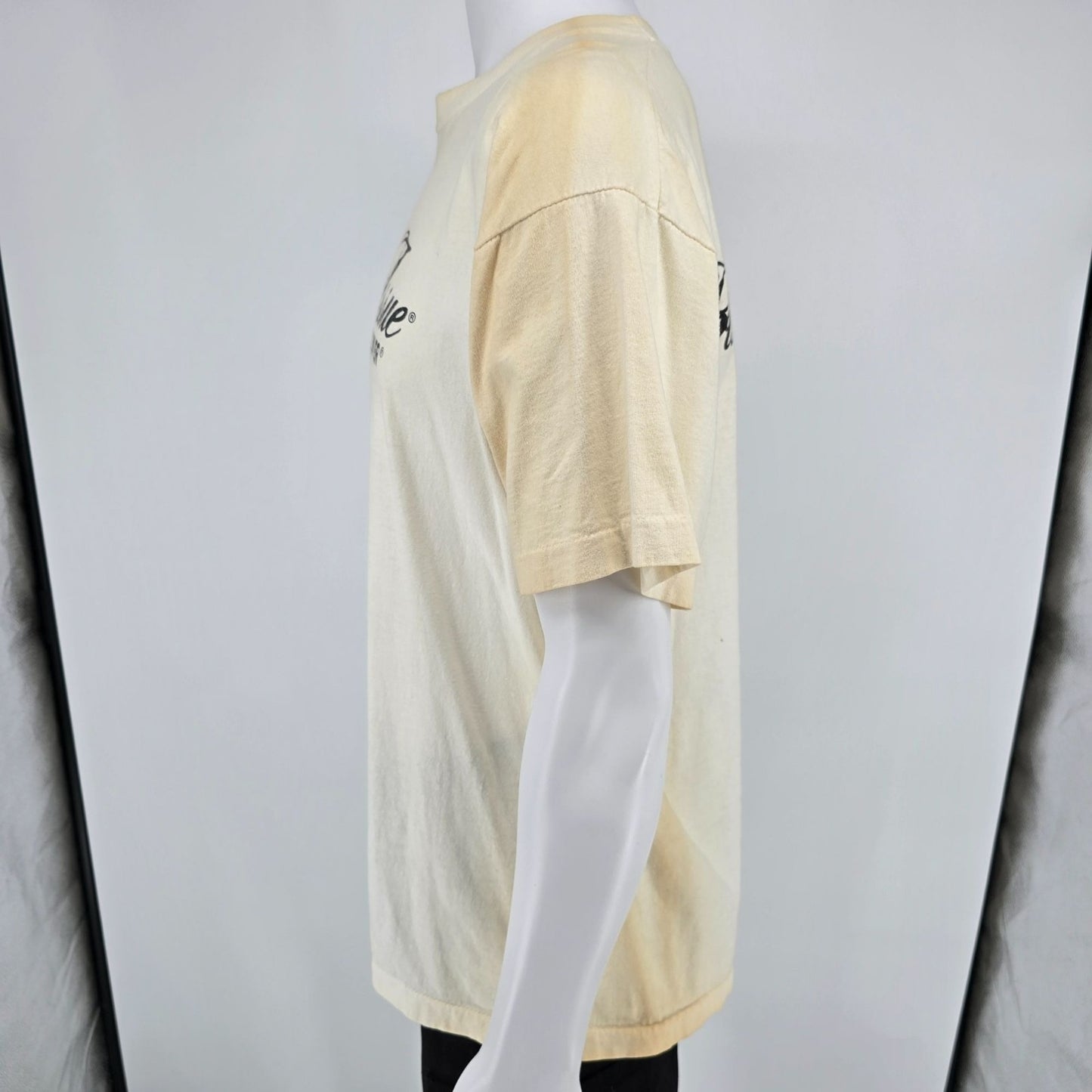 Distressed Vintage 1990s Private Issue by Discover Credit Card T-Shirt (L/XL)