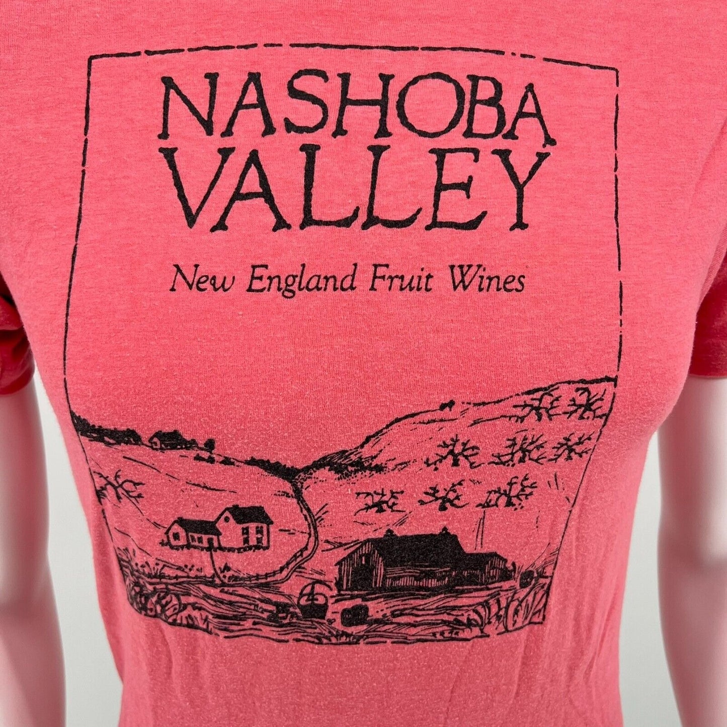 Vintage Nashua Valley Single Stitch Hanes Fifty-Fifty T-Shirt (Small)