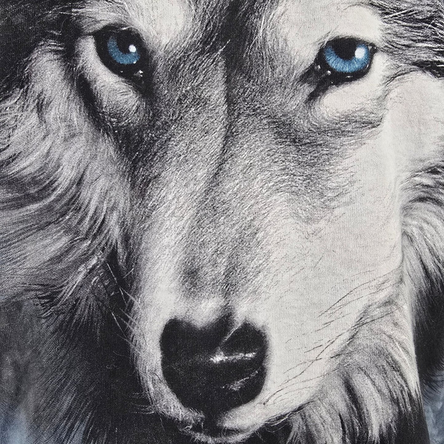 Vintage Y2K The Mountain DIY Cut Out Hem Blue-Eyed Wolf Tie-Dye T-Shirt (M)