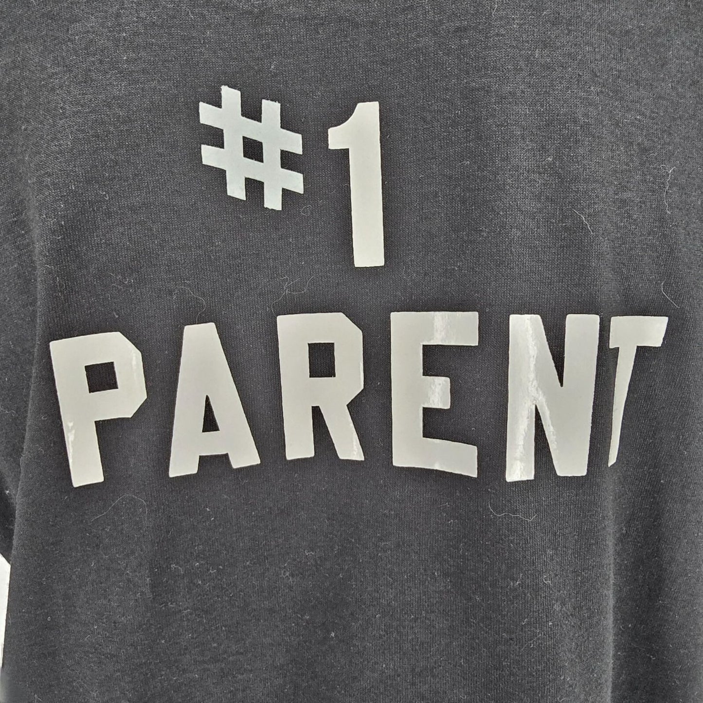 Vintage 1990s Jerzees Sigma Phi Epsilon Fraternity "#1 Parent" T-Shirt (Large)