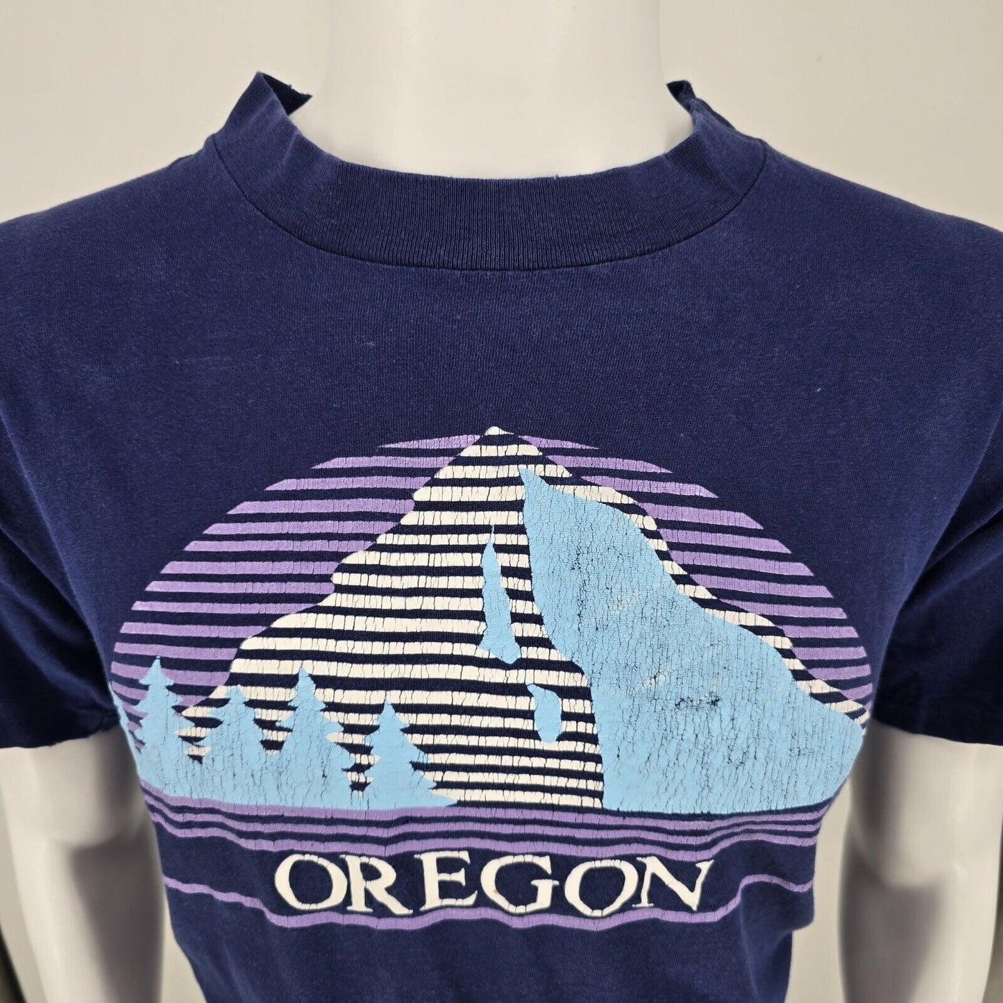 Vintage Thrashed Single Stitch Oregon Mountain Landscape Blue Graphic T-Shirt- M