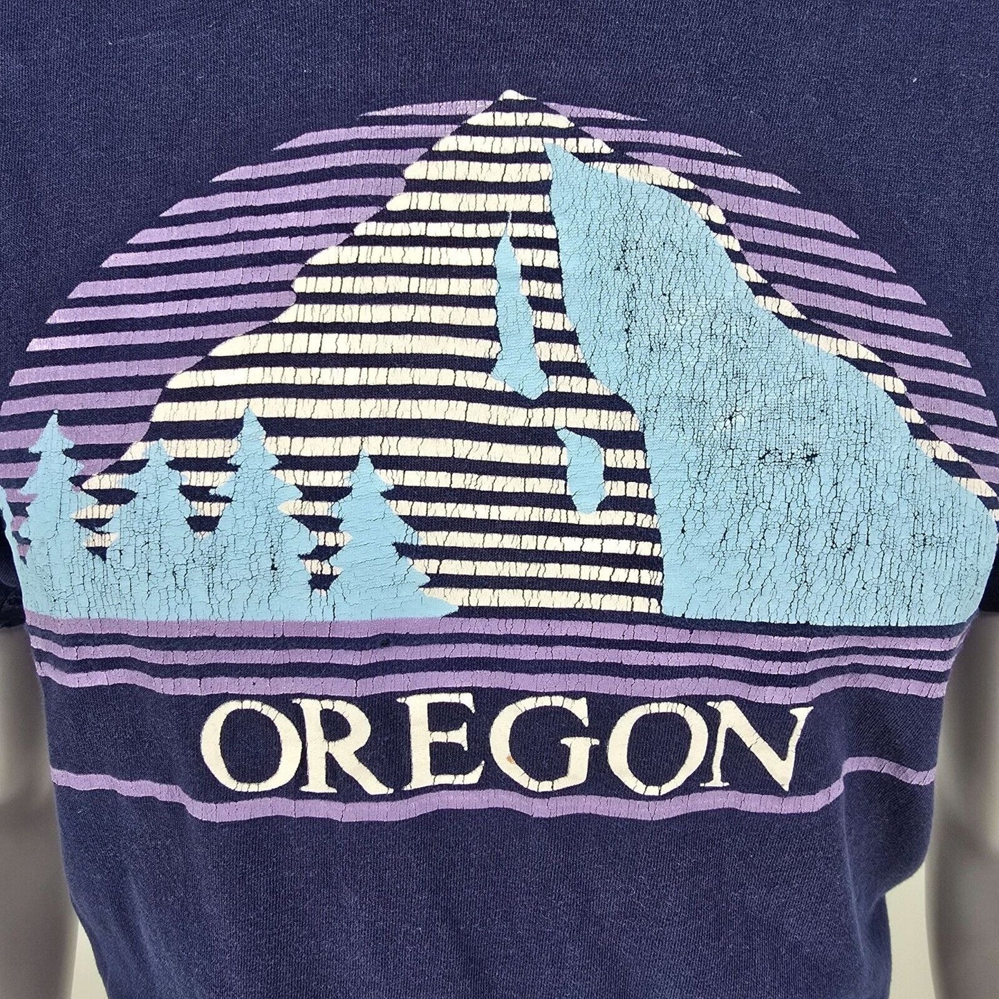Vintage Thrashed Single Stitch Oregon Mountain Landscape Blue Graphic T-Shirt- M