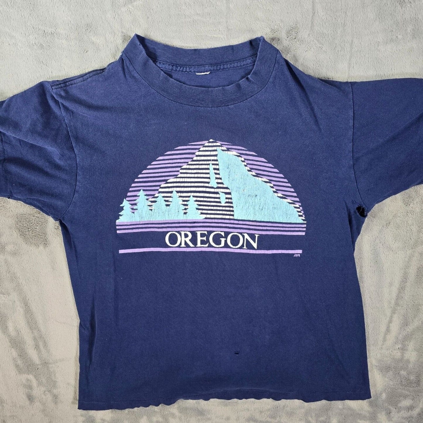 Vintage Thrashed Single Stitch Oregon Mountain Landscape Blue Graphic T-Shirt- M