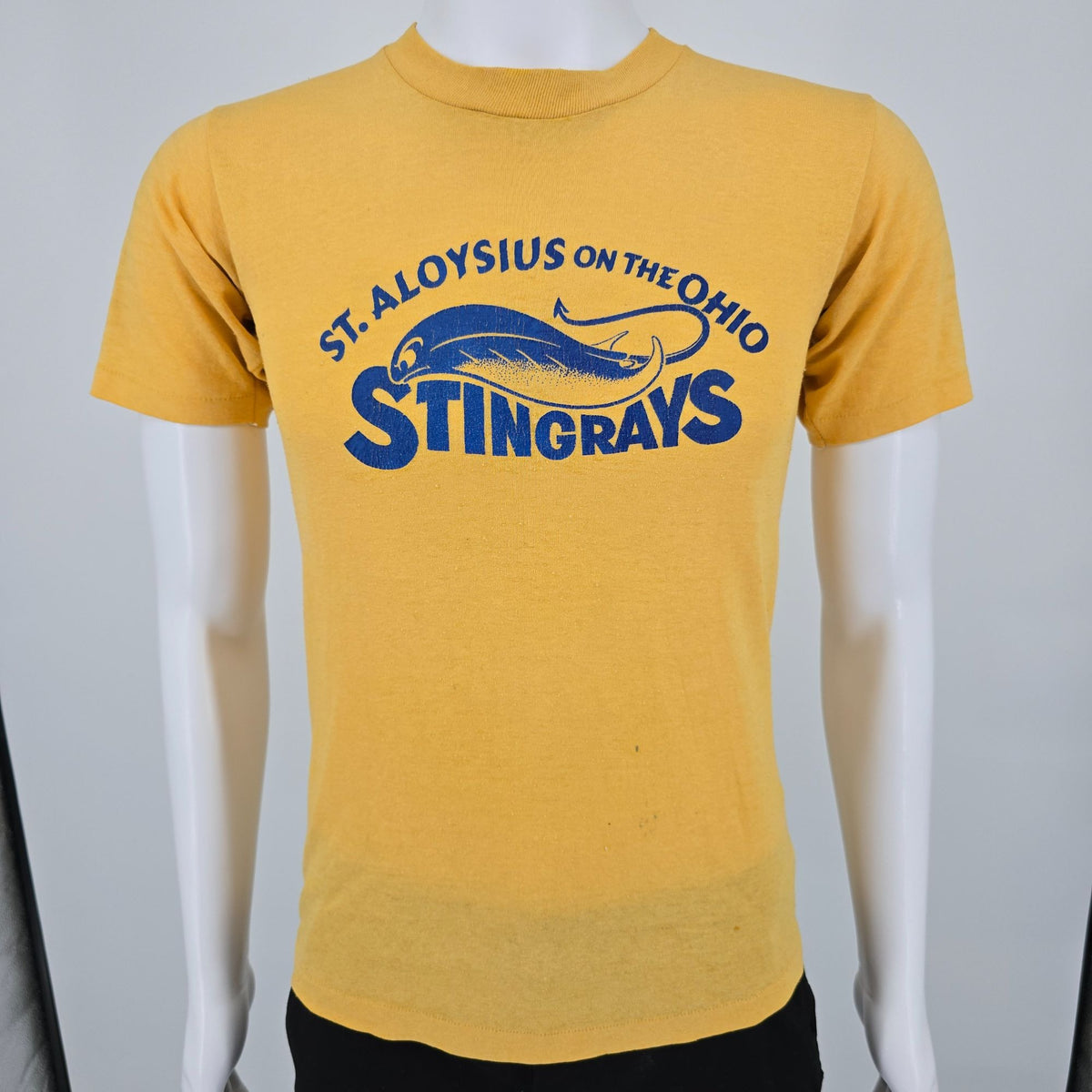 Distressed Vintage 1980s St. Aloysius on the Ohio Stingrays T-Shirt (S)