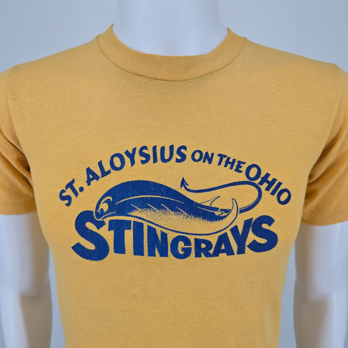 Distressed Vintage 1980s St. Aloysius on the Ohio Stingrays T-Shirt (S)