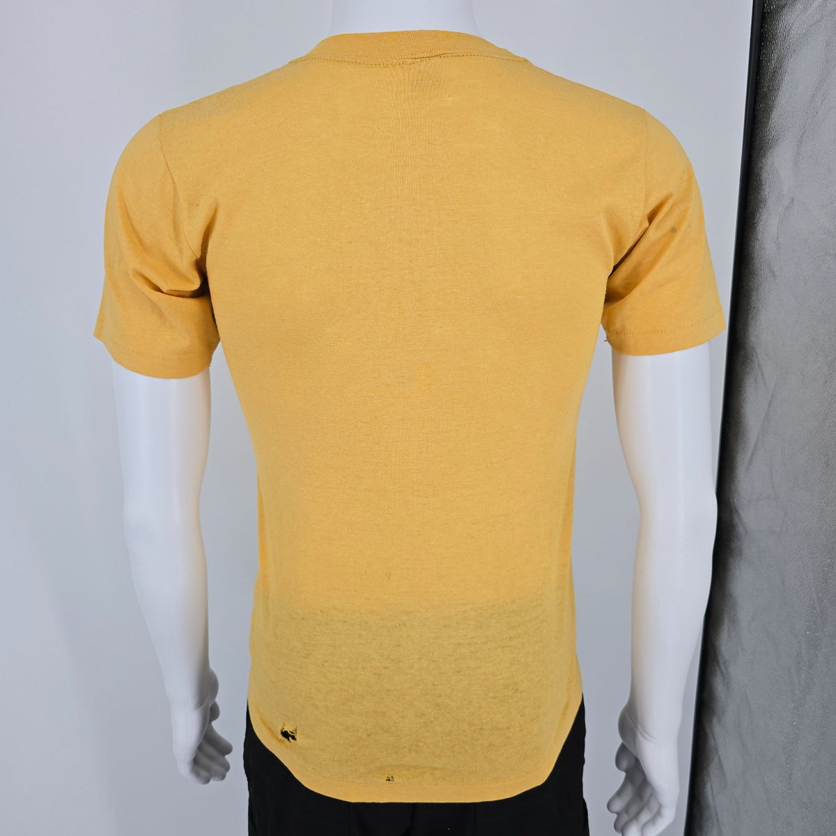 Distressed Vintage 1980s St. Aloysius on the Ohio Stingrays T-Shirt (S)