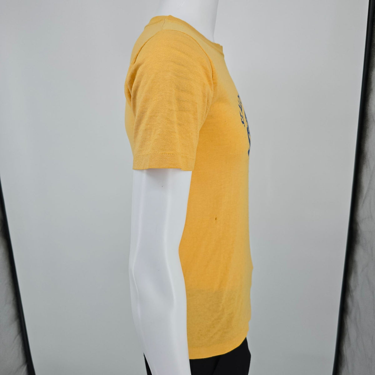 Distressed Vintage 1980s St. Aloysius on the Ohio Stingrays T-Shirt (S)