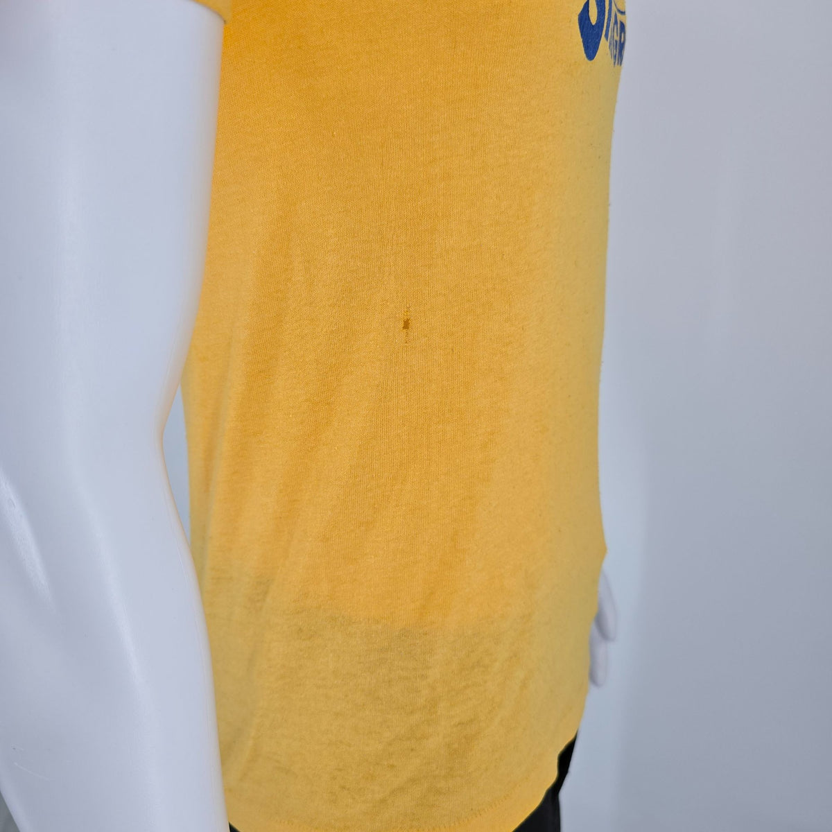 Distressed Vintage 1980s St. Aloysius on the Ohio Stingrays T-Shirt (S)