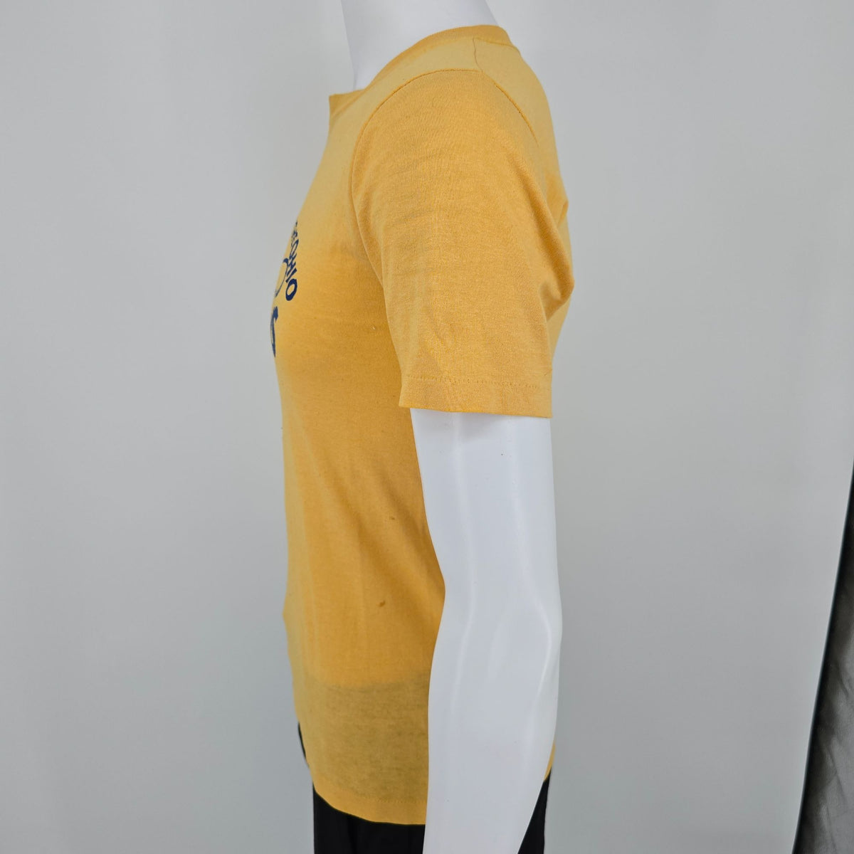 Distressed Vintage 1980s St. Aloysius on the Ohio Stingrays T-Shirt (S)
