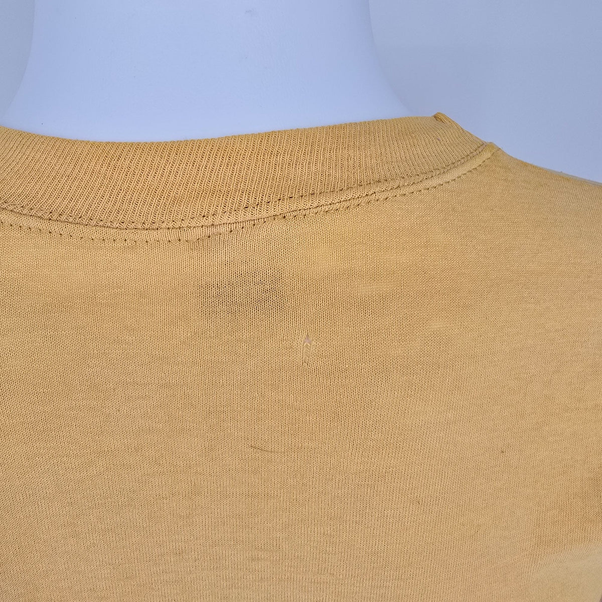 Distressed Vintage 1980s St. Aloysius on the Ohio Stingrays T-Shirt (S)