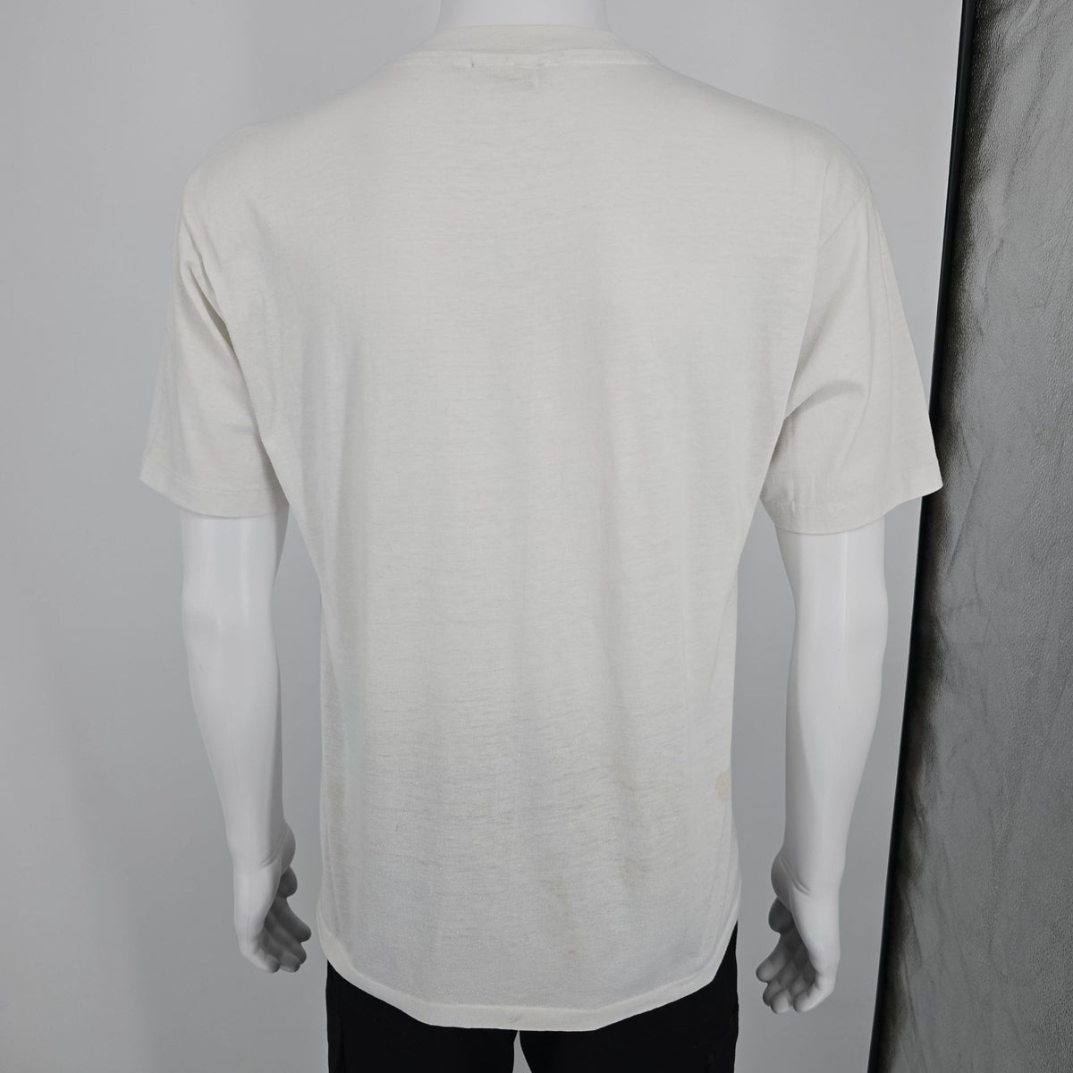 Vintage 1990s Hanes Fifty-Fifty Vanishing Texas Tours Lake Buckhanan T-Shirt (L)
