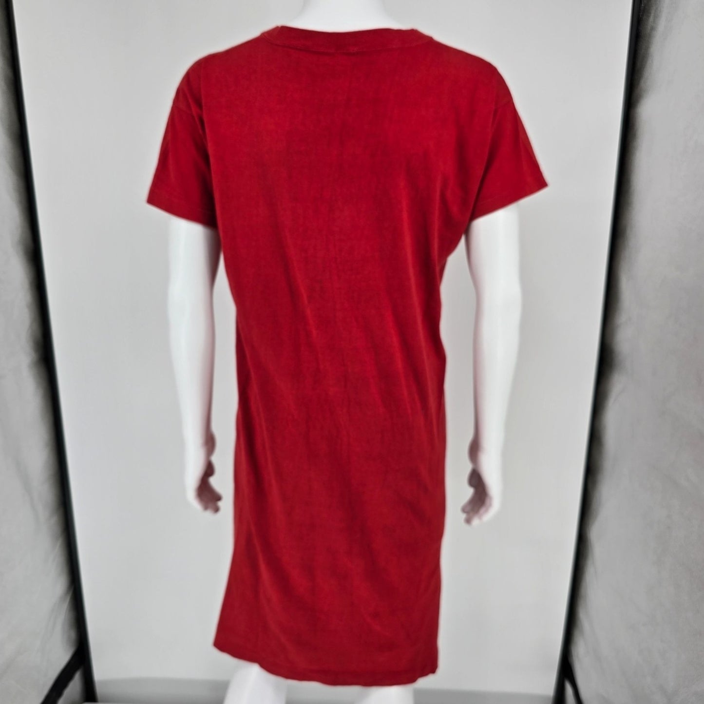Vintage 1960s Champion Sigma Alpha Epsilon Fraternity V-Neck Sleep Shirt (M/L)