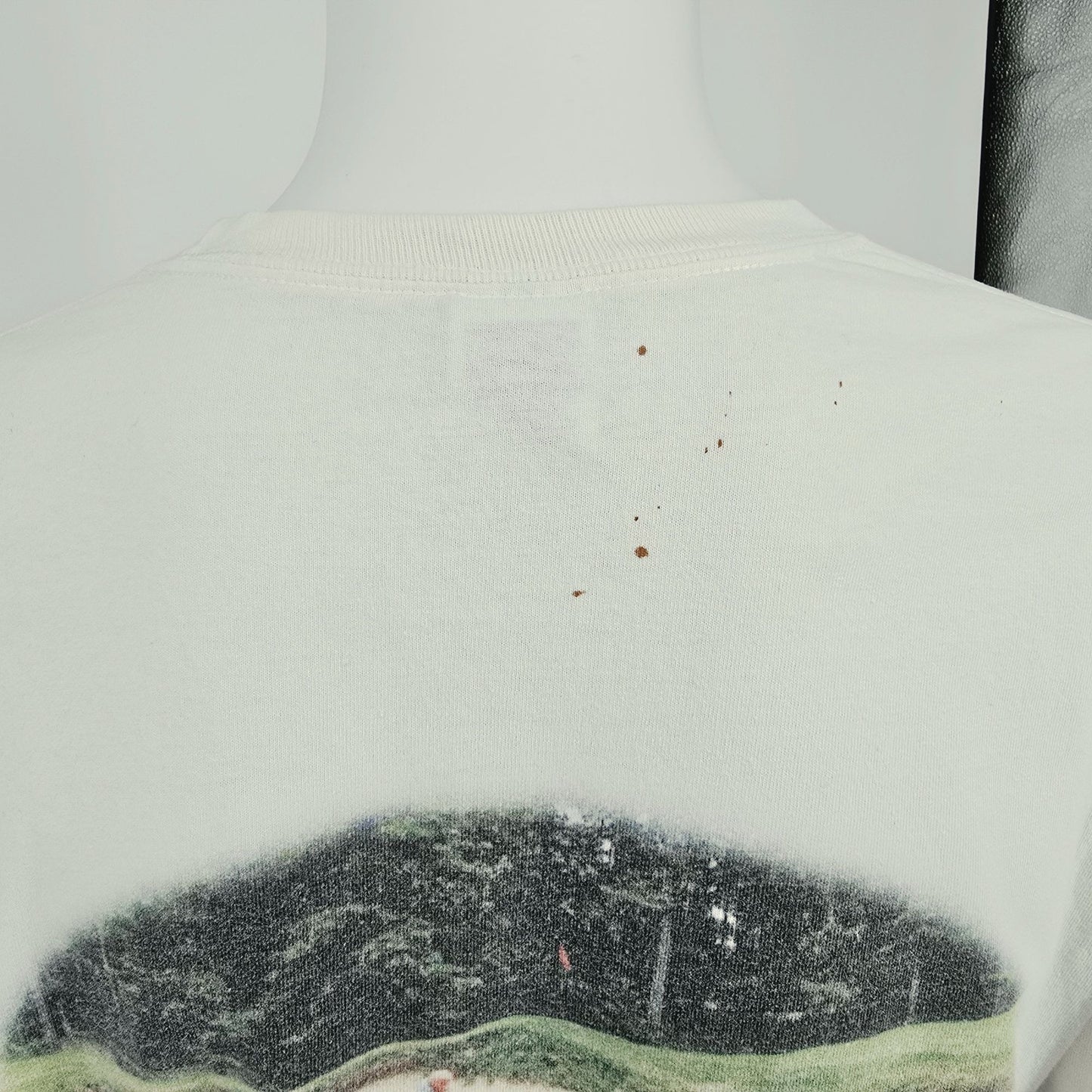 2010s Gildan Ultra Cotton Long Sleeve Sand Trap Golf Photo T-Shirt (L) *Fair