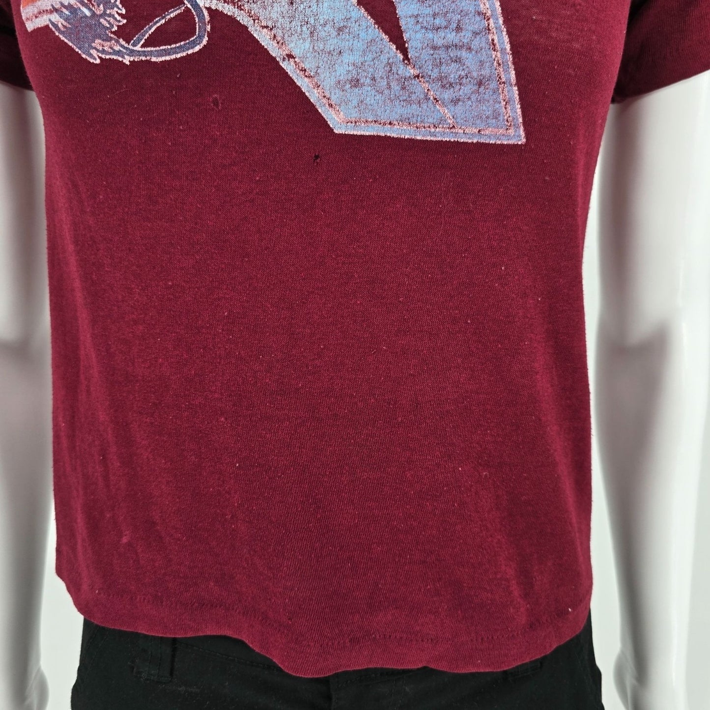 Distressed Vintage Early 1980s Sportswear Florida Surfer Graphic T-Shirt (S)