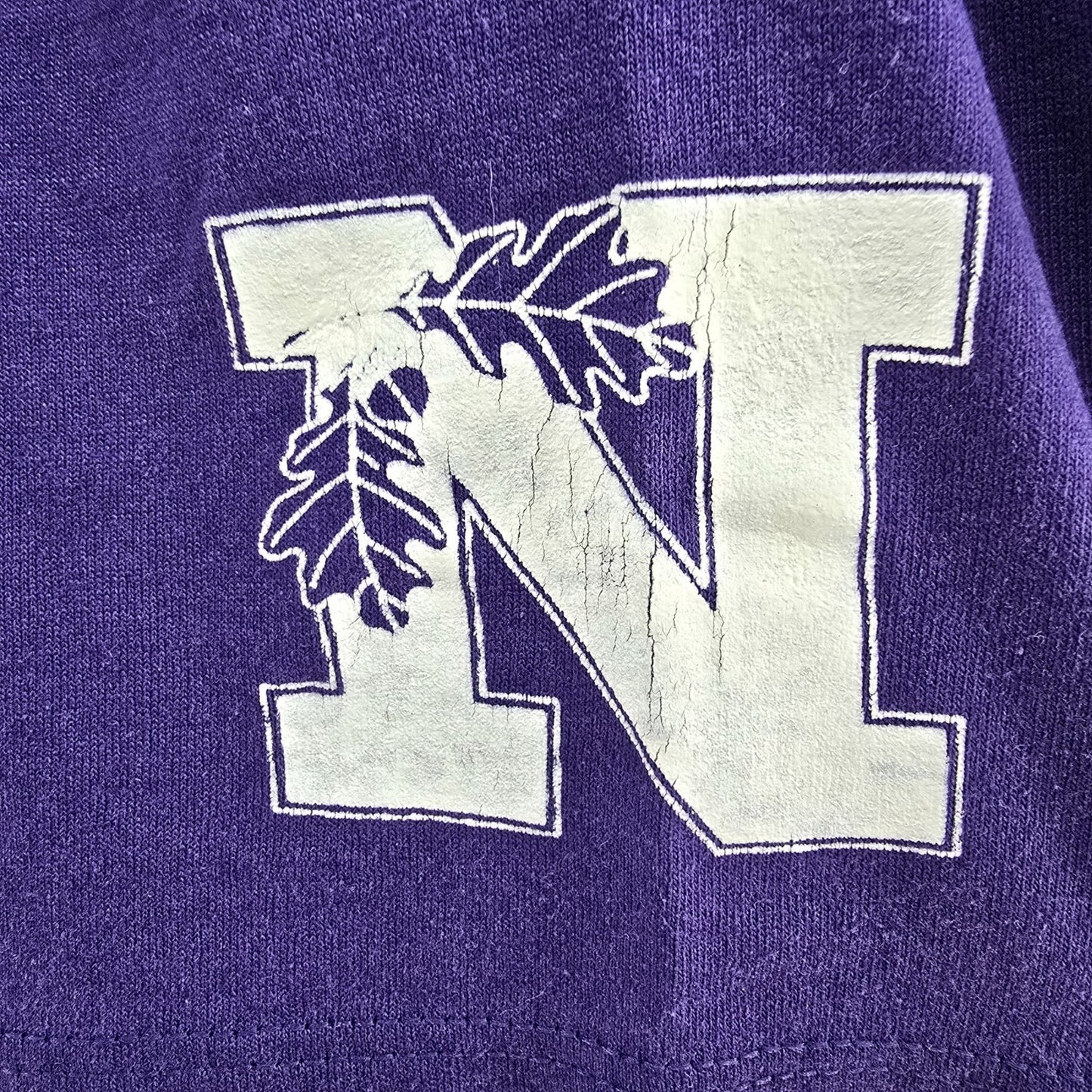 Vintage 1990s Jerzees Northwestern University Alumni Association T-Shirt (XL)