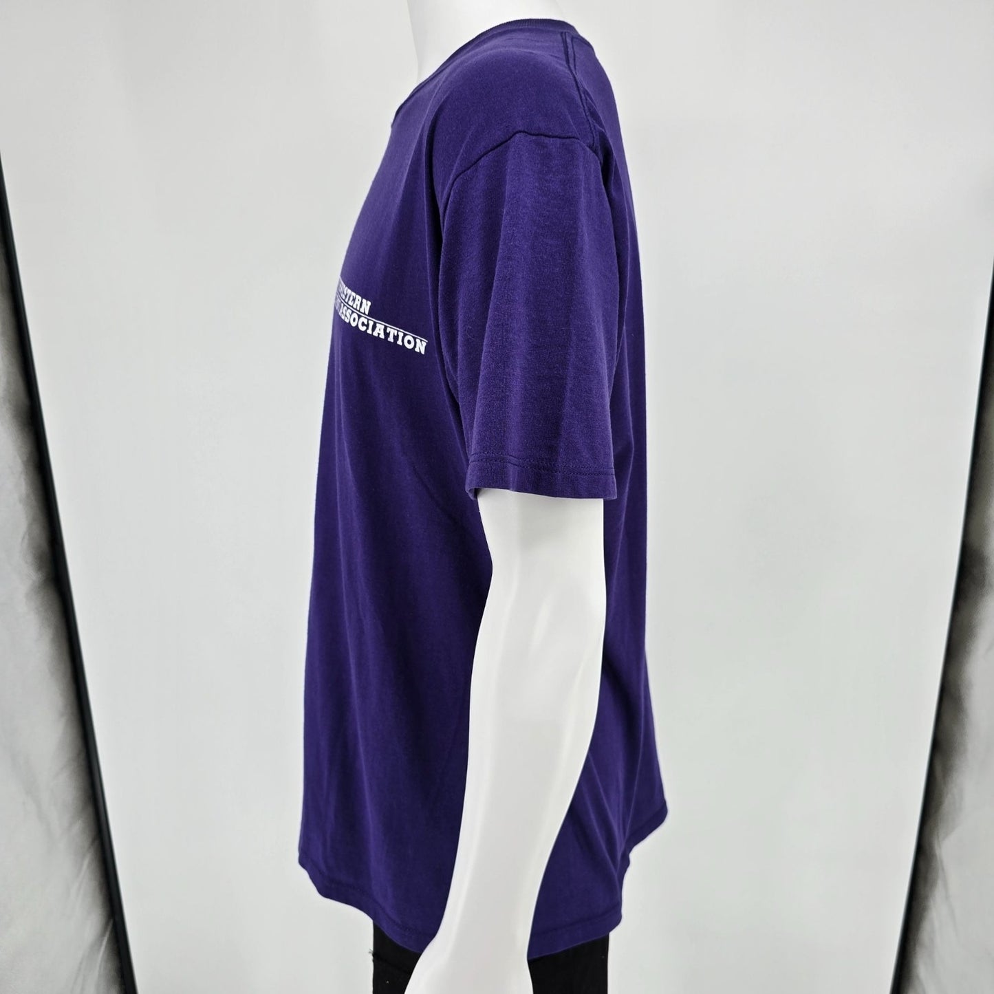 Vintage 1990s Jerzees Northwestern University Alumni Association T-Shirt (XL)