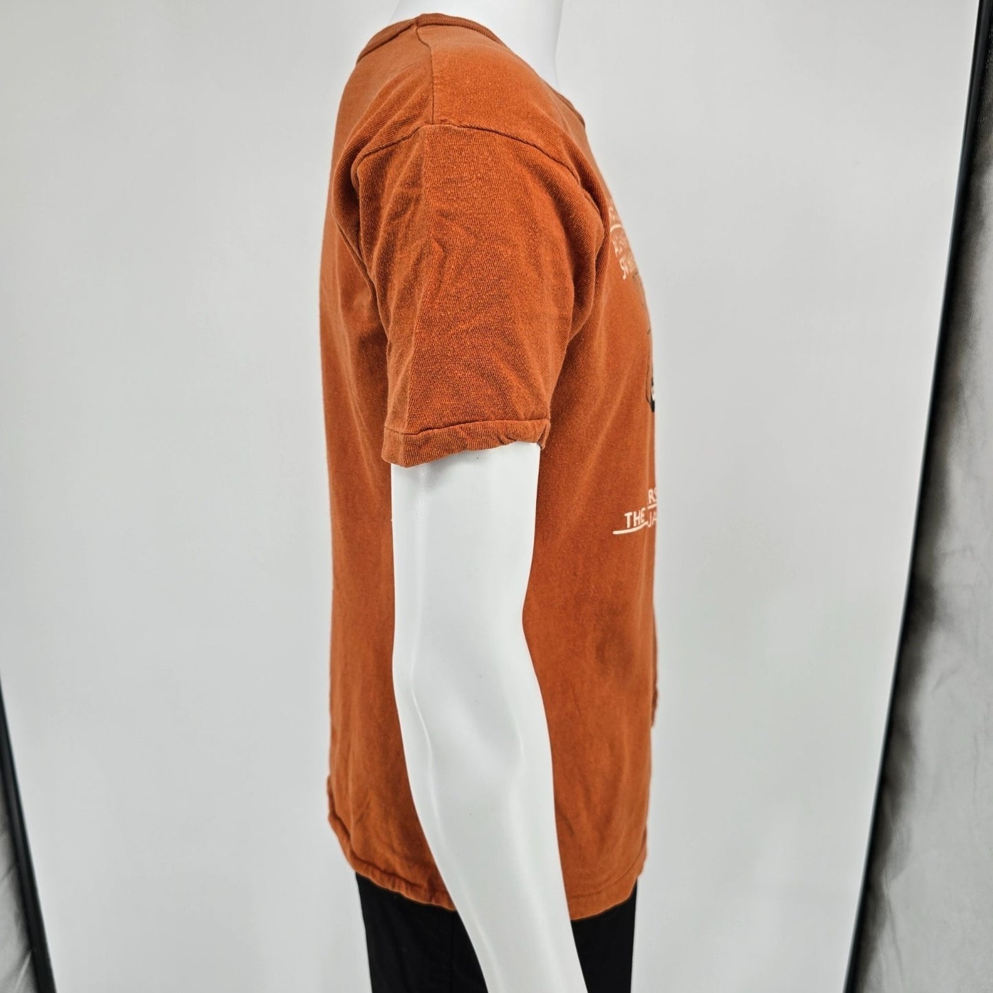 Vintage 1981 Texas Longhorn All-American Swimming and Diving Meet T-Shirt (L)