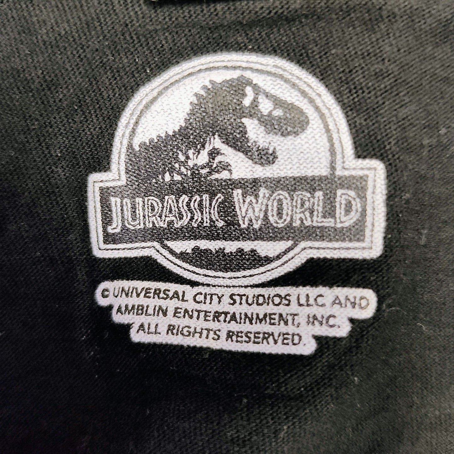 Jurassic World: Fallen Kingdom Even More Teeth Black Graphic T-Shirt (S)