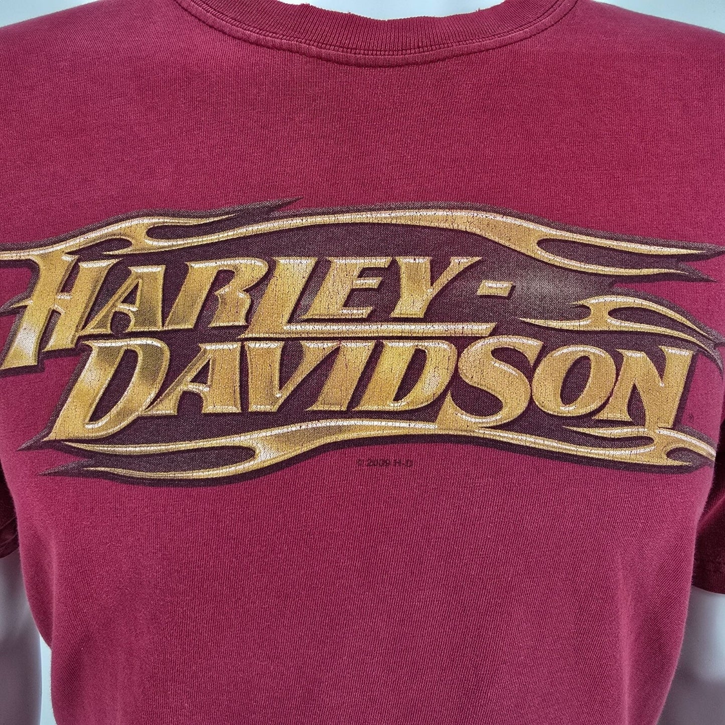 2009 Harley-Davidson Man O' War Lexington, KY Horse Graphic T-Shirt (M/L)