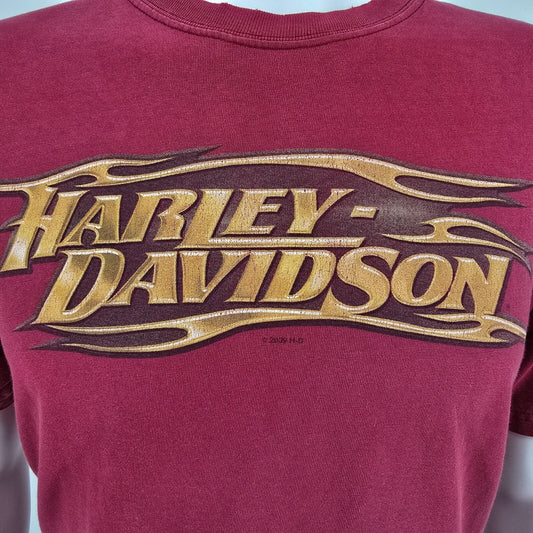 2009 Harley-Davidson Man O' War Lexington, KY Horse Graphic T-Shirt (M/L)