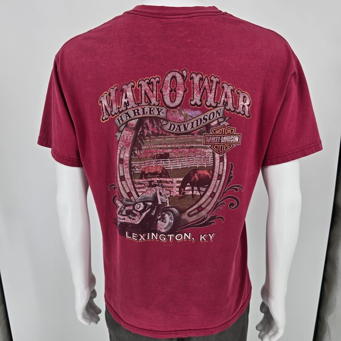 2009 Harley-Davidson Man O' War Lexington, KY Horse Graphic T-Shirt (M/L)