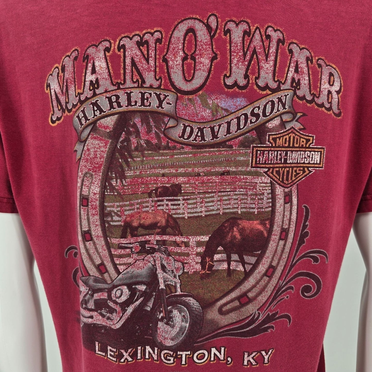 2009 Harley-Davidson Man O' War Lexington, KY Horse Graphic T-Shirt (M/L)
