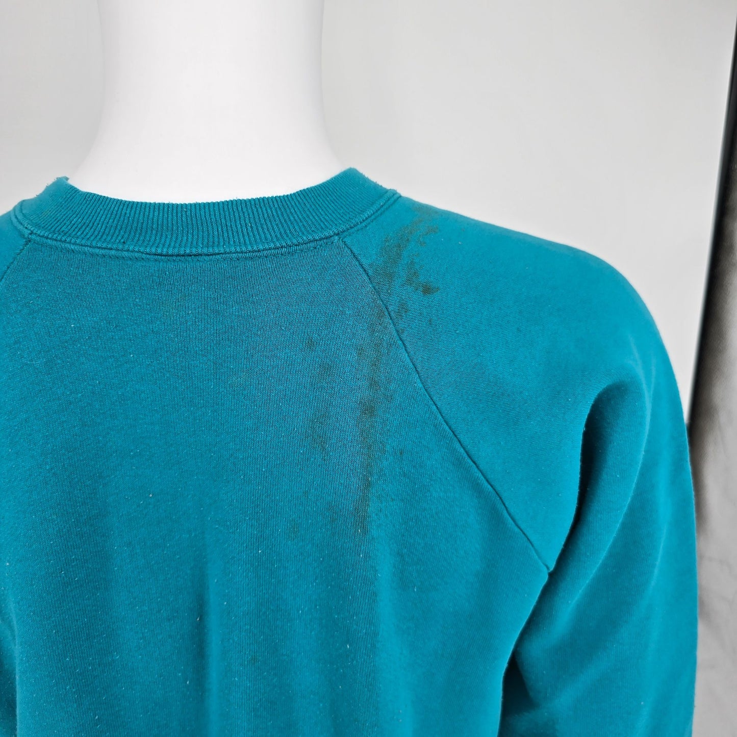 Vintage 1990s Fruit of the Loom "Class Du Monde" Raglan Sleeve Sweatshirt (L/XL)