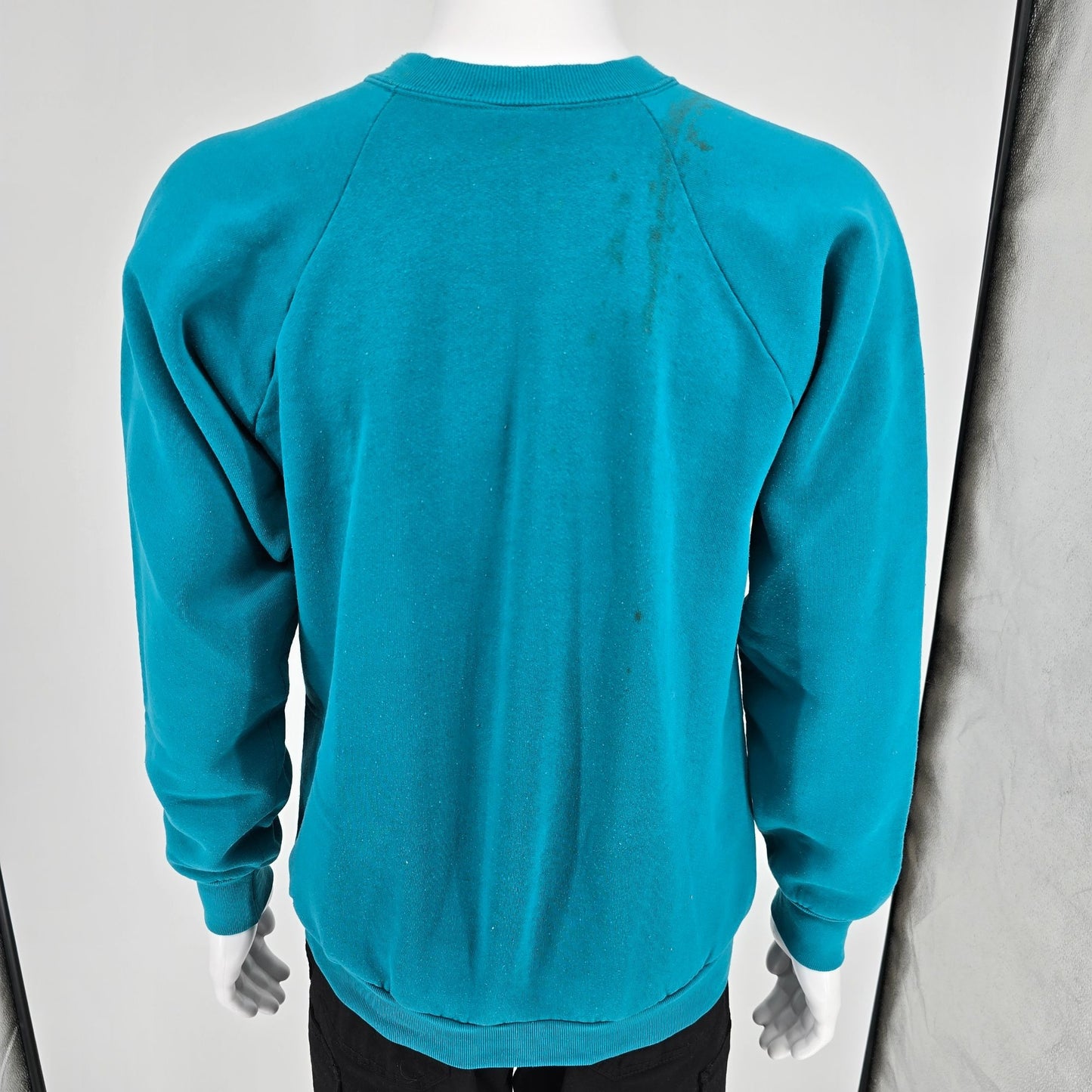 Vintage 1990s Fruit of the Loom "Class Du Monde" Raglan Sleeve Sweatshirt (L/XL)