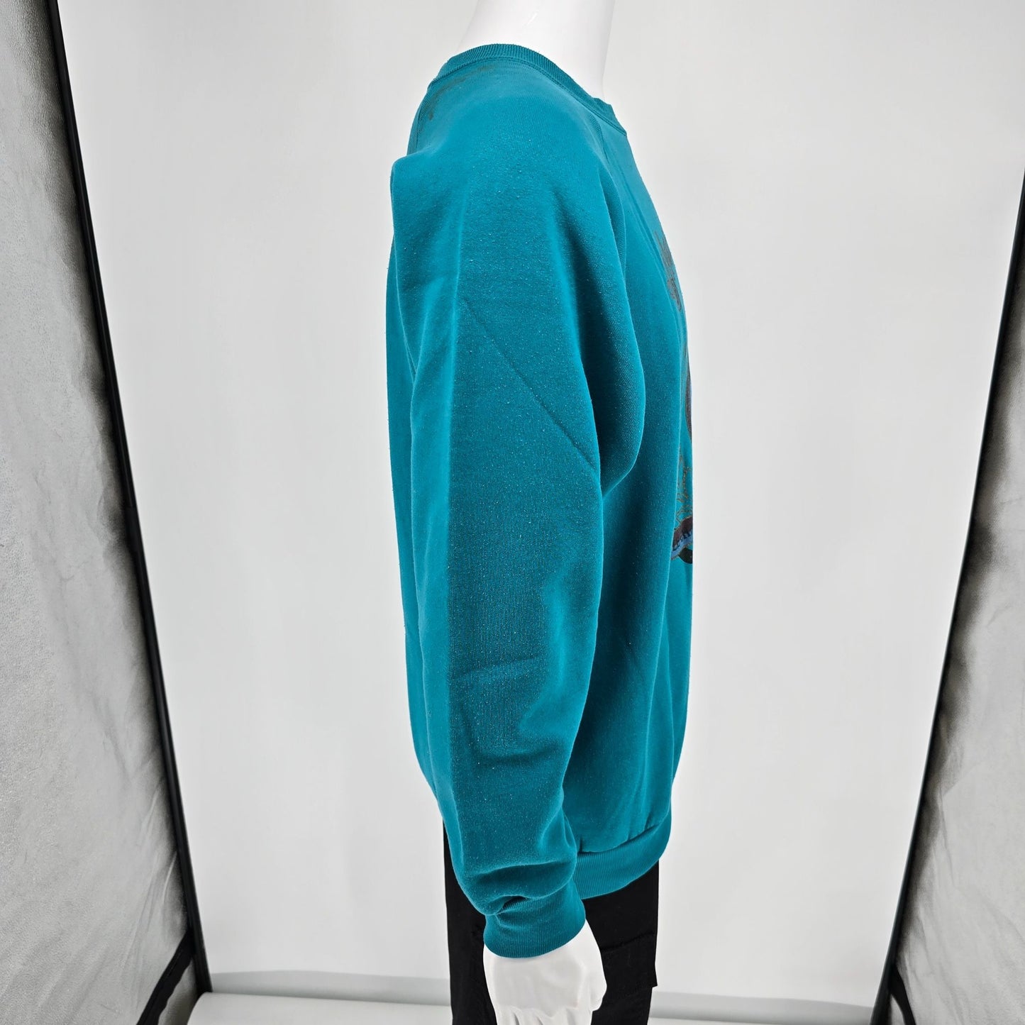 Vintage 1990s Fruit of the Loom "Class Du Monde" Raglan Sleeve Sweatshirt (L/XL)