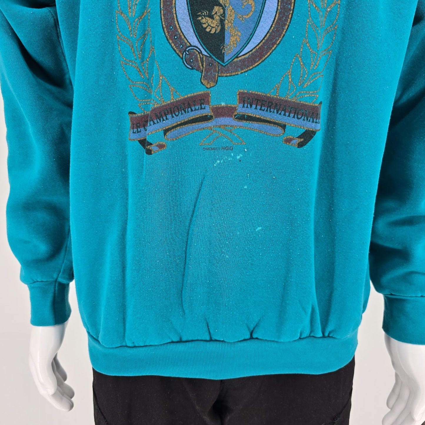 Vintage 1990s Fruit of the Loom "Class Du Monde" Raglan Sleeve Sweatshirt (L/XL)