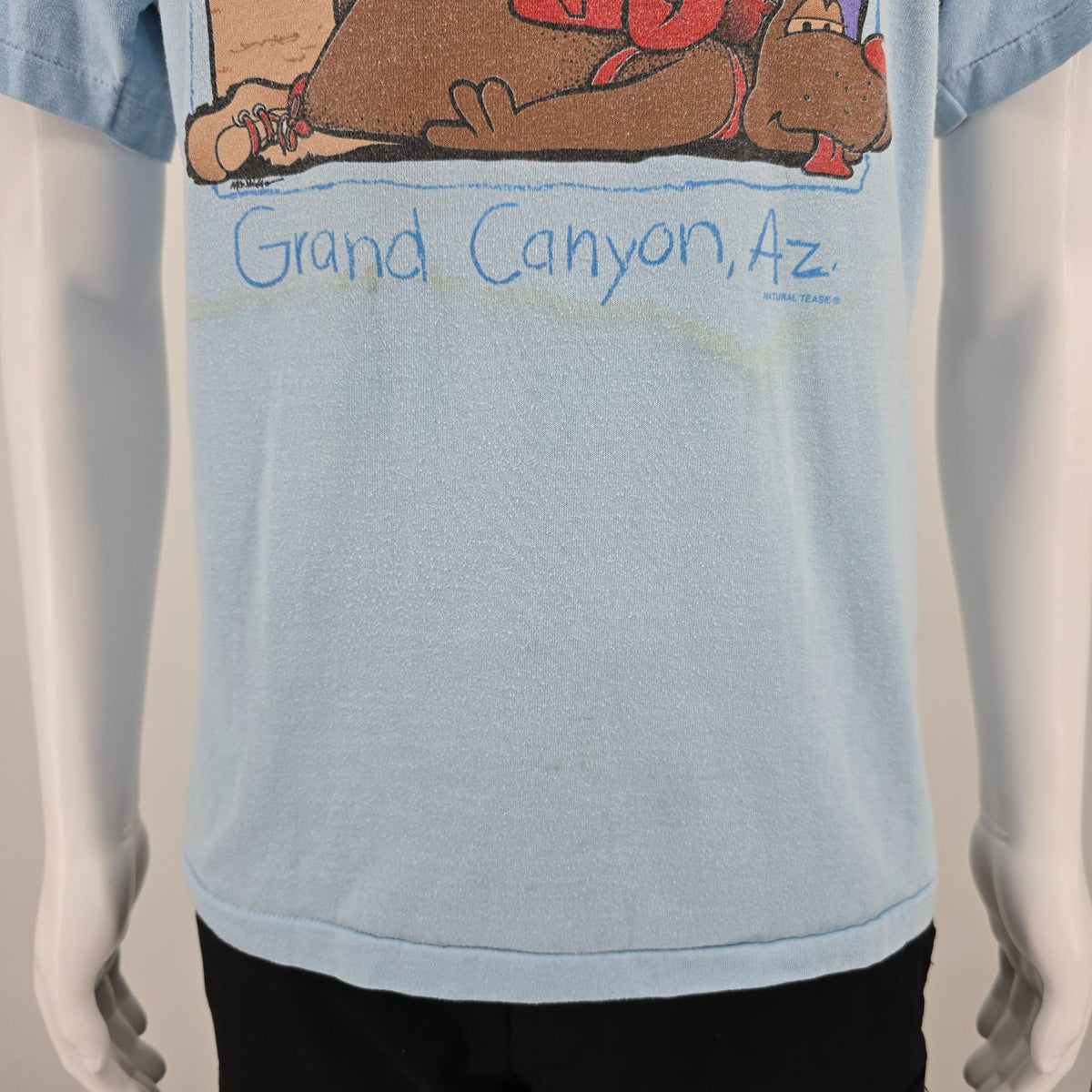 Vintage 1990s Oneita Grand Canyon Arizona "I Crawled the Canyon" T-Shirt (M/L)