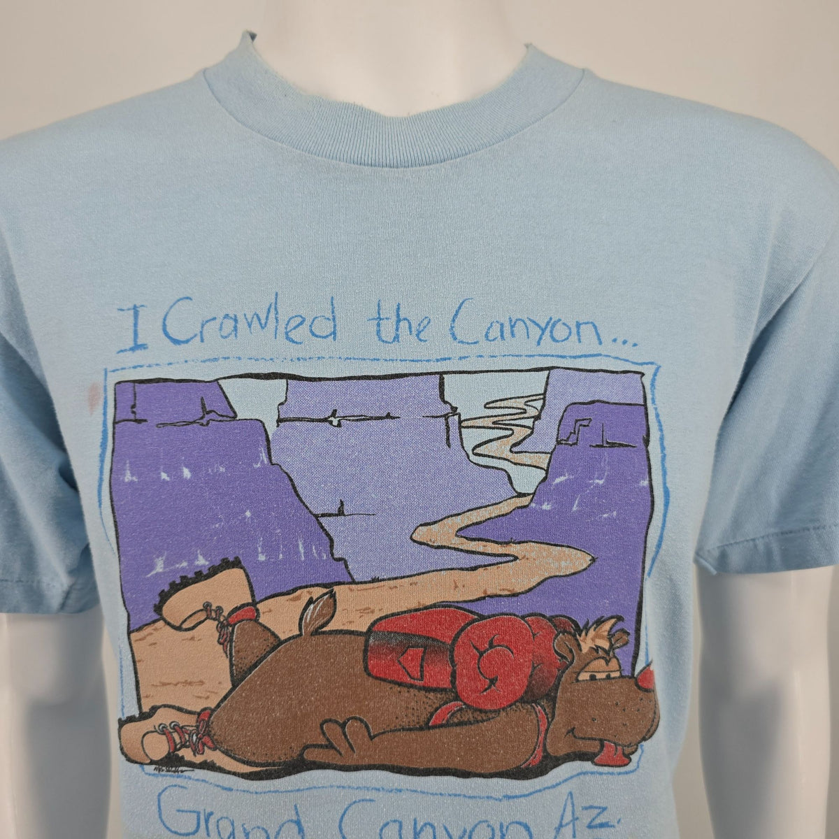 Vintage 1990s Oneita Grand Canyon Arizona "I Crawled the Canyon" T-Shirt (M/L)