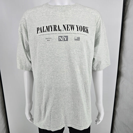 Vintage Y2K Palmyra, New York LDS Tour 2000 Latter-Day Saints Gray T-Shirt (XXL)